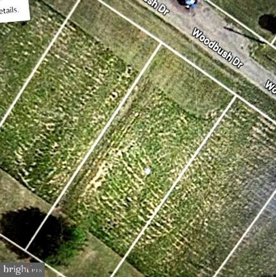 Motivated Seller!!!!  Huge price reduction!!!!!!Great & affordable opportunity to own your own parcel in Chaptico, MD.  .23 acres on a  level land.  Not far from the Chaptico River to enjoy fishing and boating with  peaceful settings.    Community pier access.  Level  Lot offers recreation Use for weekend getaways and summer fun. Lot is zoned residential, you will need to  
check with Saint Mary's County health department regarding well & septic options.   Perc is unknown.