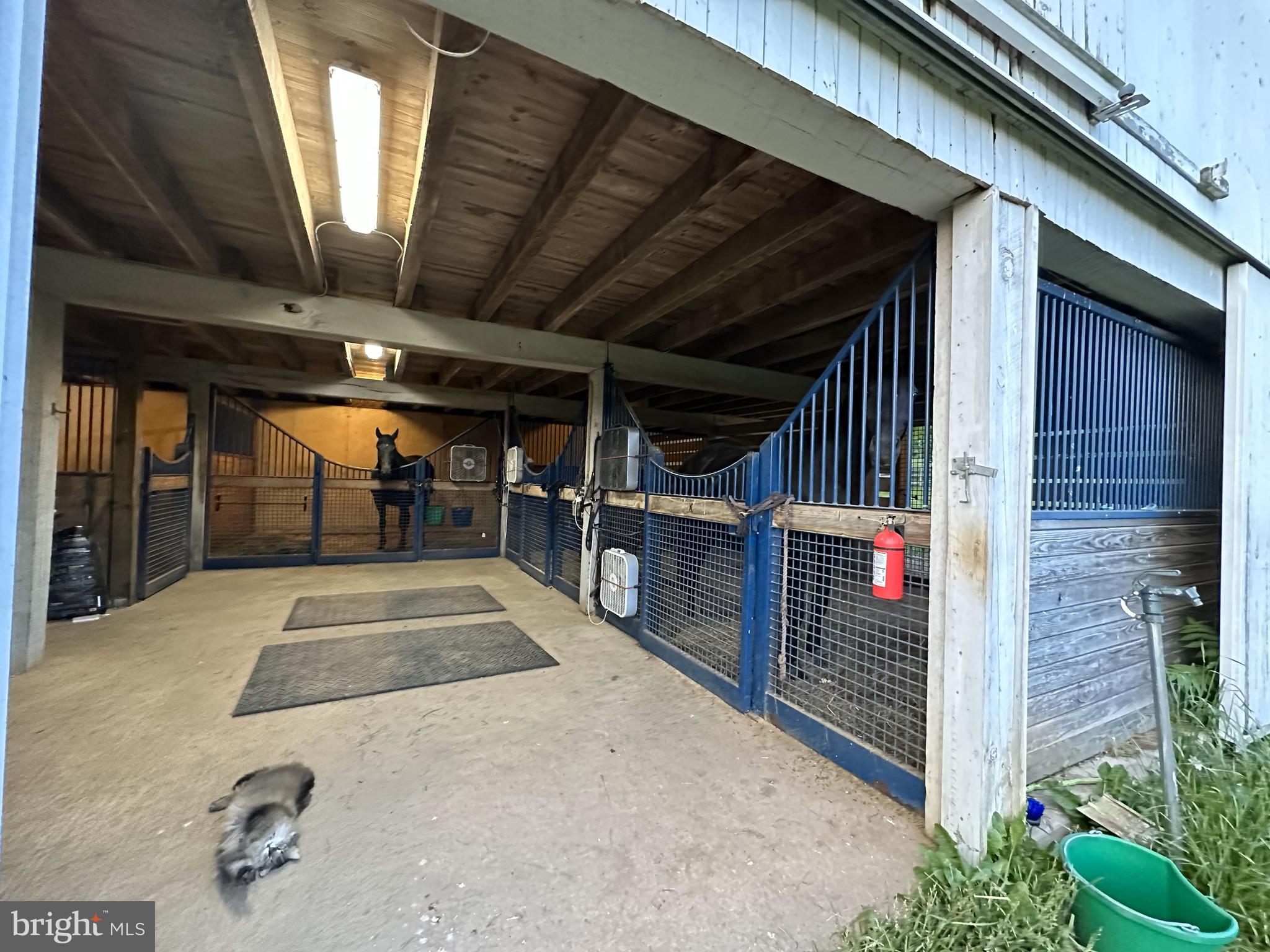 DAMASCUS OUTSIDE - Farm