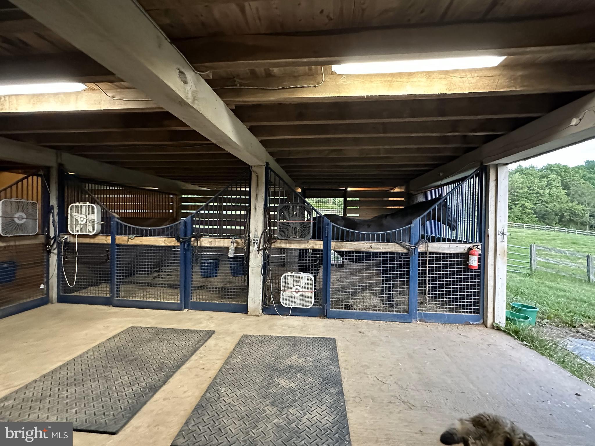 DAMASCUS OUTSIDE - Farm