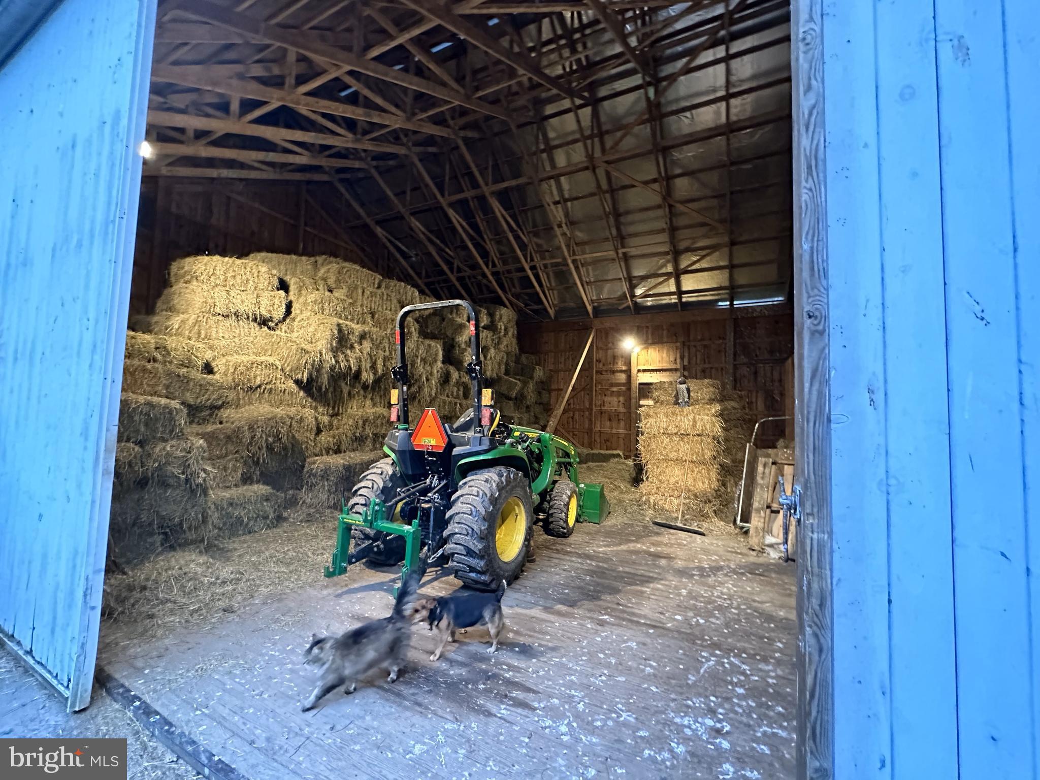 DAMASCUS OUTSIDE - Farm