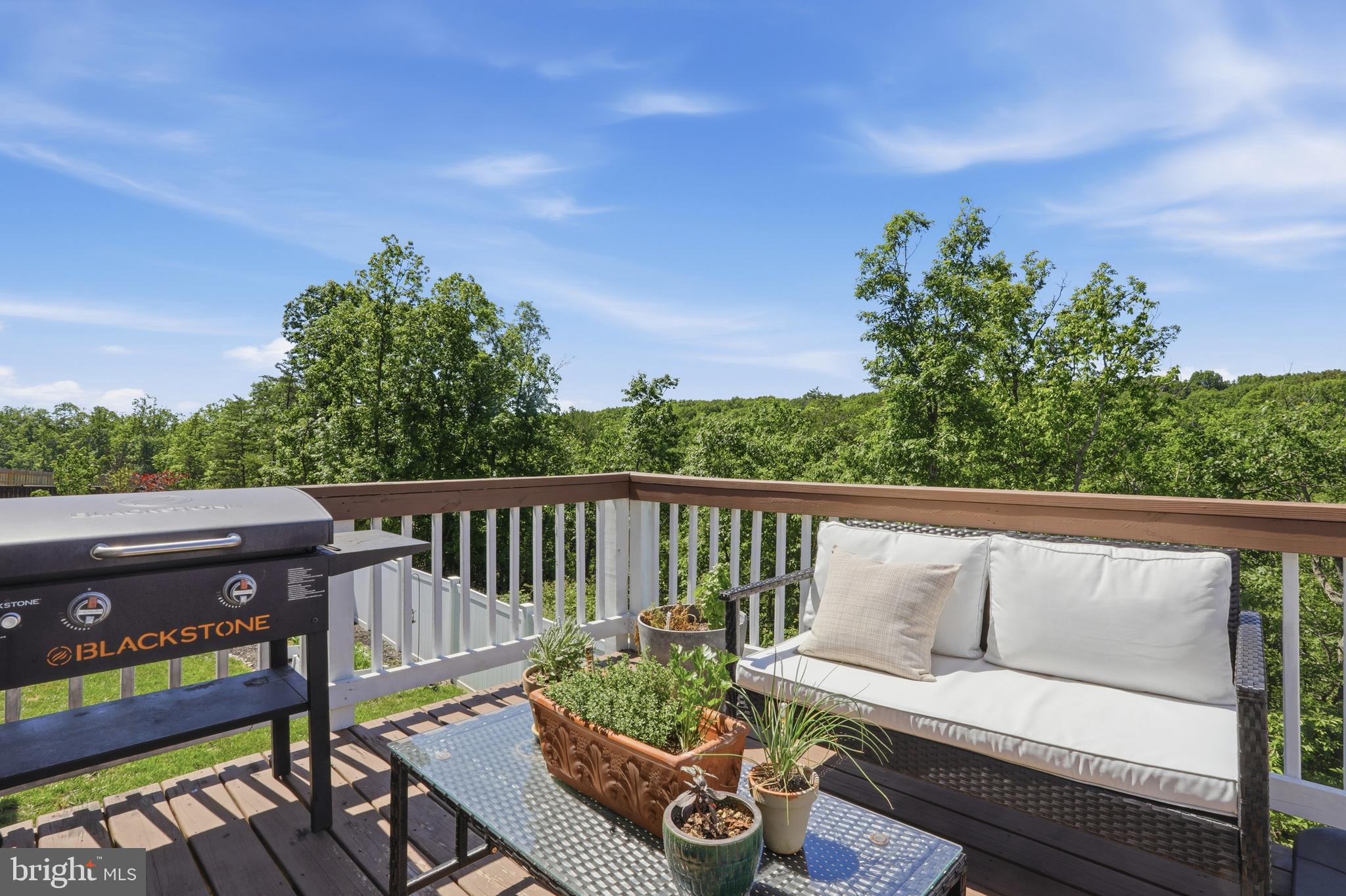 54 LARIMAR LANE