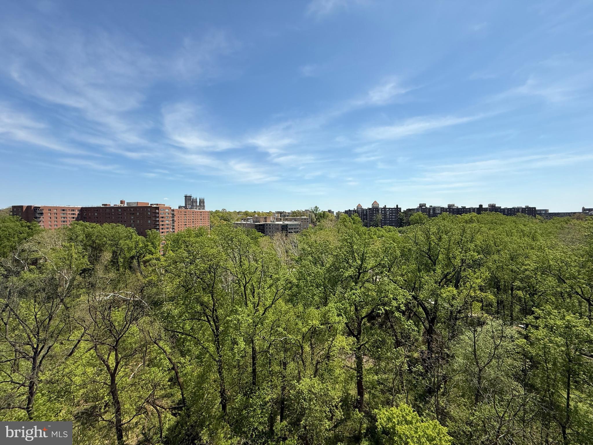 4201 CATHEDRAL AVENUE NW 1406E