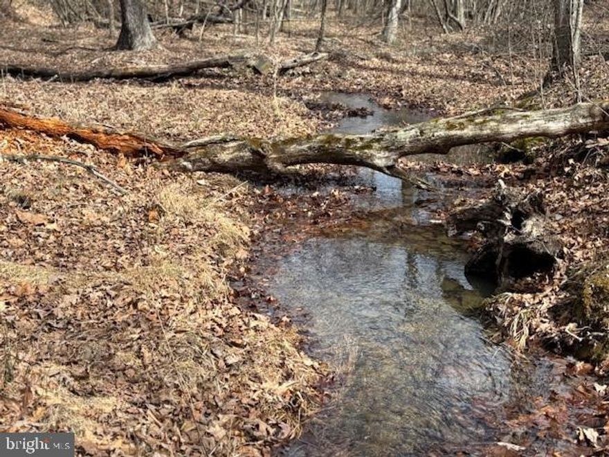 Just as its name suggests, 'Mountain Air' offers ample green space and a natural environment perfect for washing away stress. Whether you're seeking a home site, camping spot, or hunting grounds, this fully wooded 21-acrere tract can accommodate it all. Its gentle topography and an ideal build site atop a picturesque ridge, surrounded by mature oak trees, make it truly special. Situated at the epicenter of outdoor recreation and in close proximity to several public access points to the Potomac River, it serves as the ultimate launching point for adventures. Conveniently located within a two-hour drive from the nation's capital, Washington D.C., this idyllic oasis strikes the perfect balance between tranquility and accessibility. Don't miss this opportunity to own a slice of mountain paradise in the heart of the Potomac River Valley. Lace up your hiking boots, walk the land with me, and breathe in the fresh forest air—where it feels like spring every day. The property is teeming with wildlife, and ATV trails are easy to develop. It also offers multiple building sites. Ready to explore? Let’s take a walk