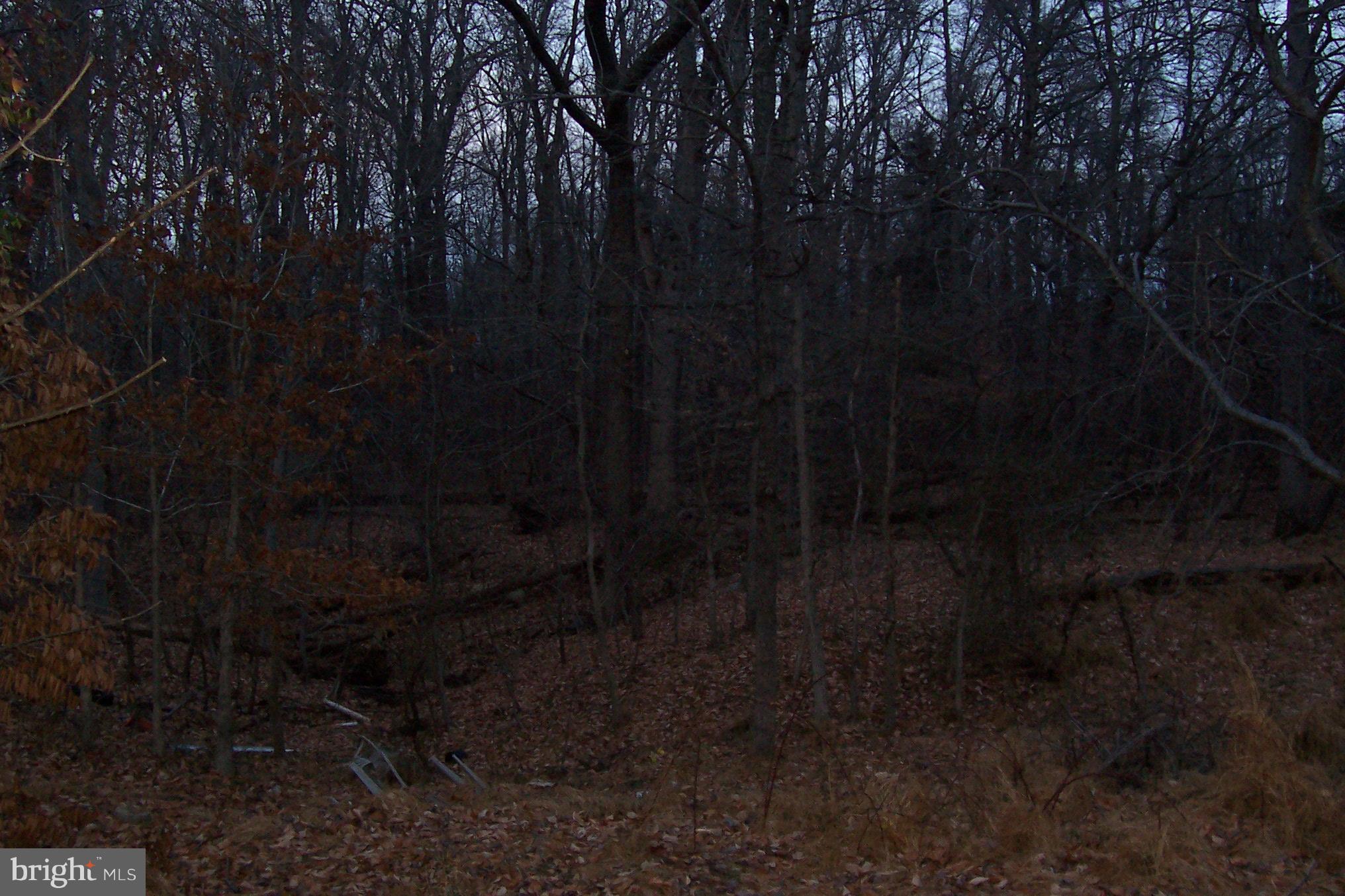 POTOMAC HEIGHTS - Residential