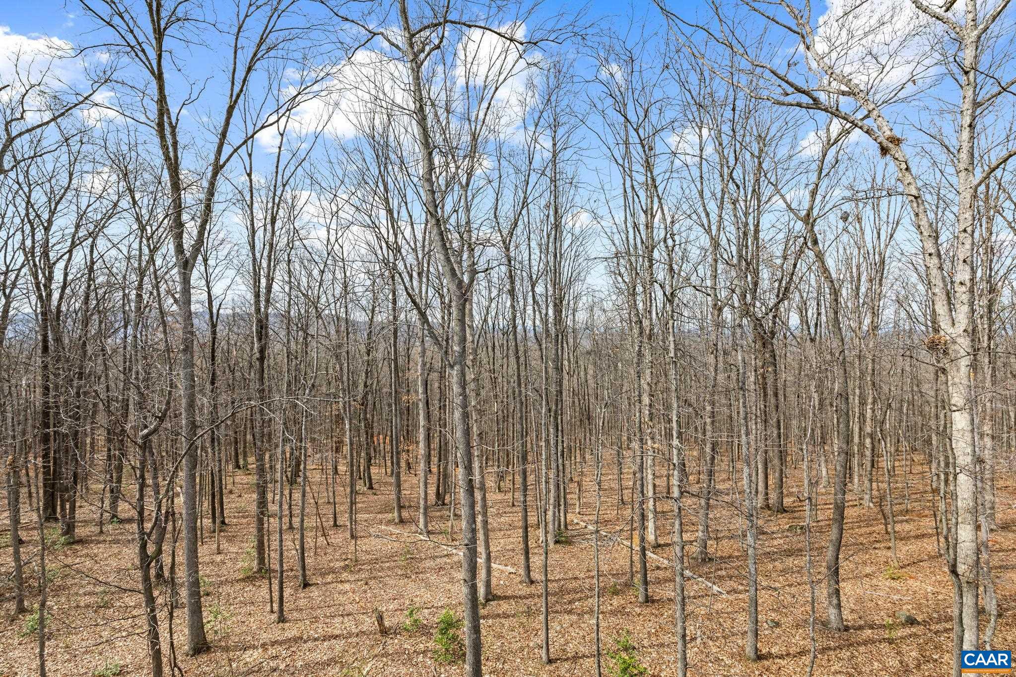 AVON PARK - Residential