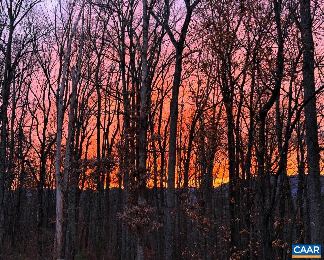 AVON PARK - Residential