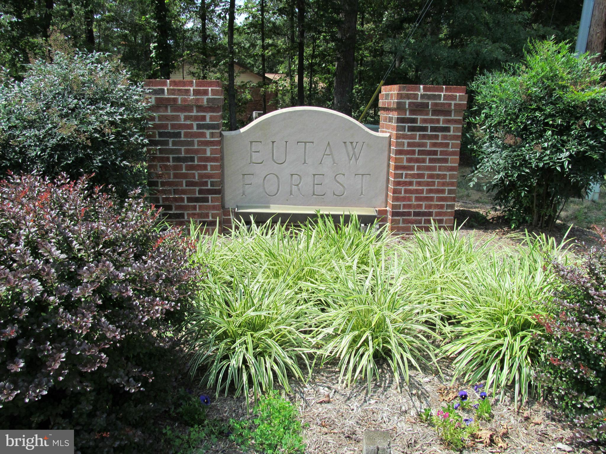 EUTAW FOREST - Residential