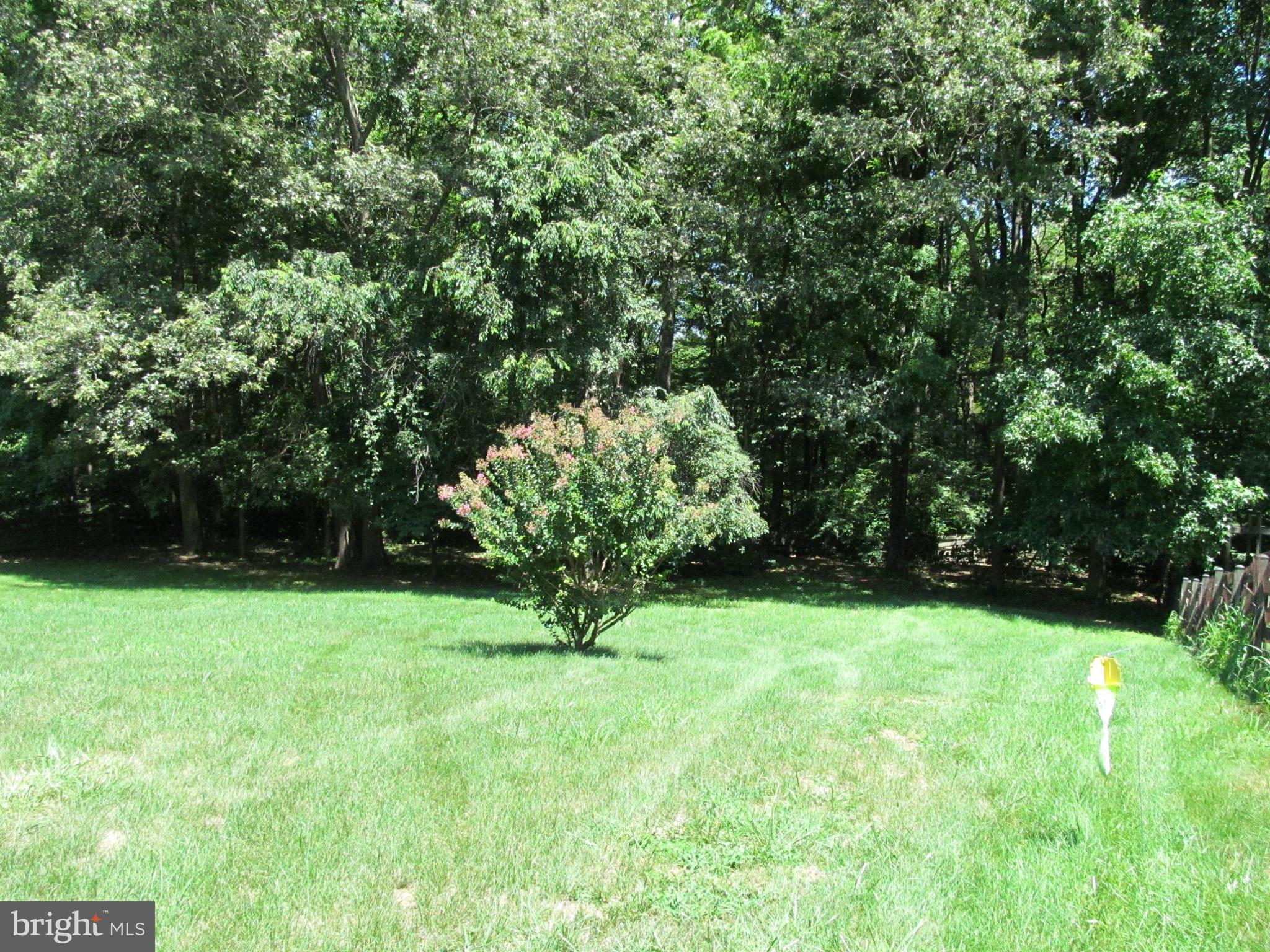 EUTAW FOREST - Residential