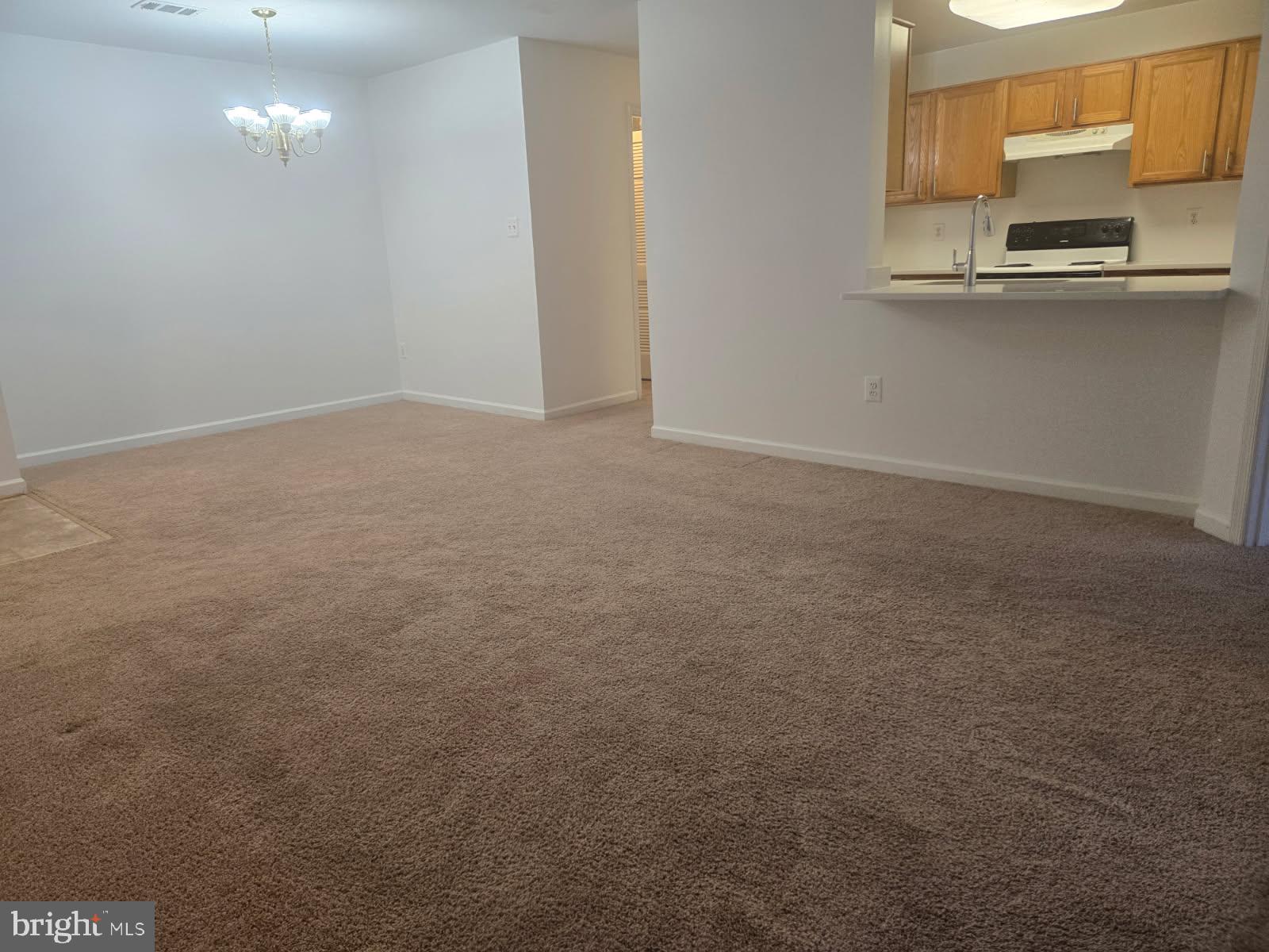 7516 SNOWPEA COURT H