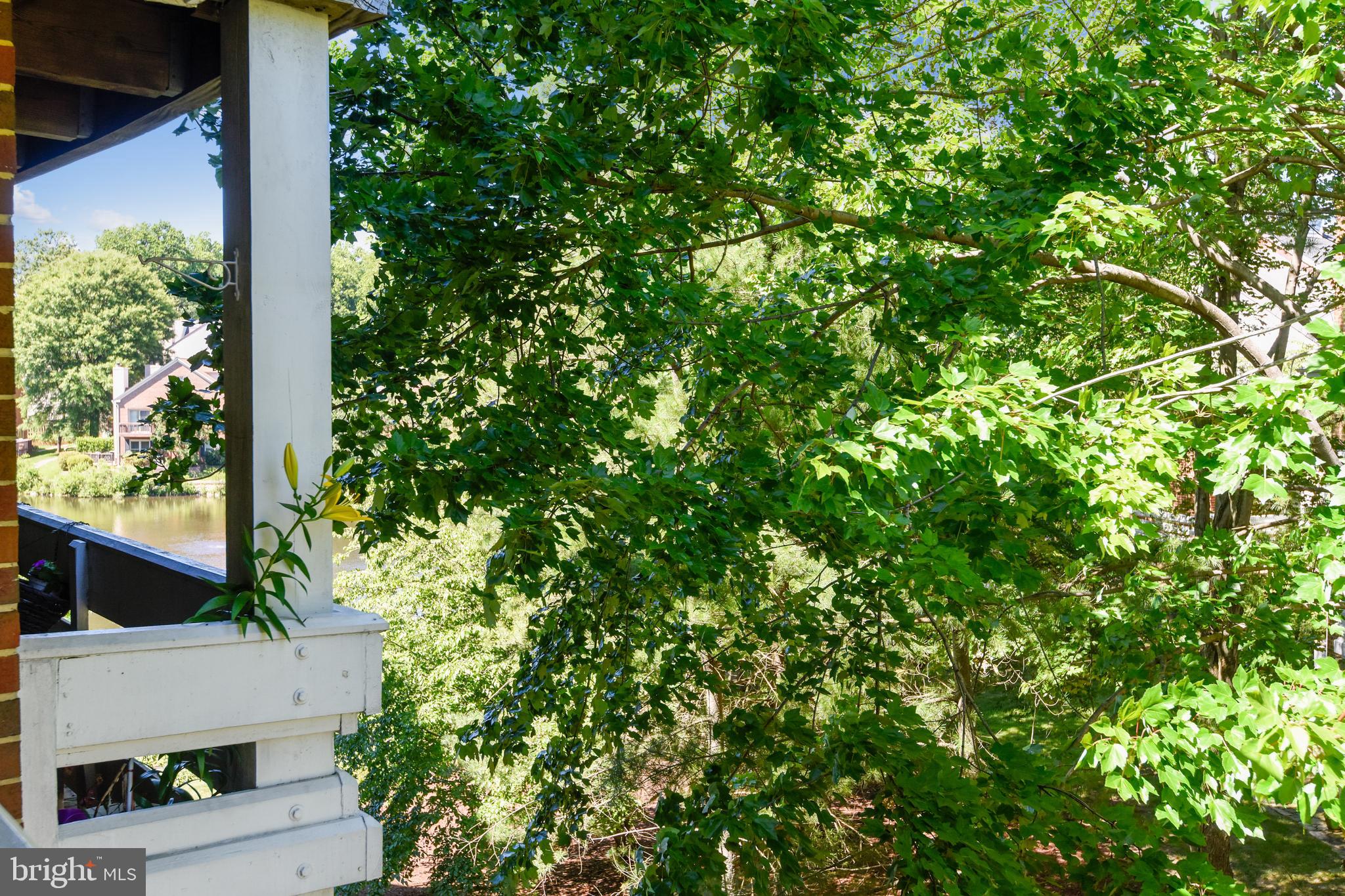 THE COVE - Residential