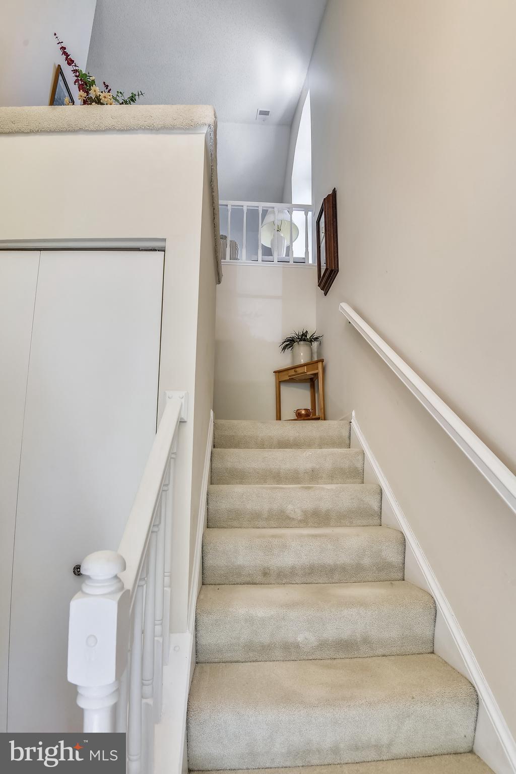 THE COVE - Residential