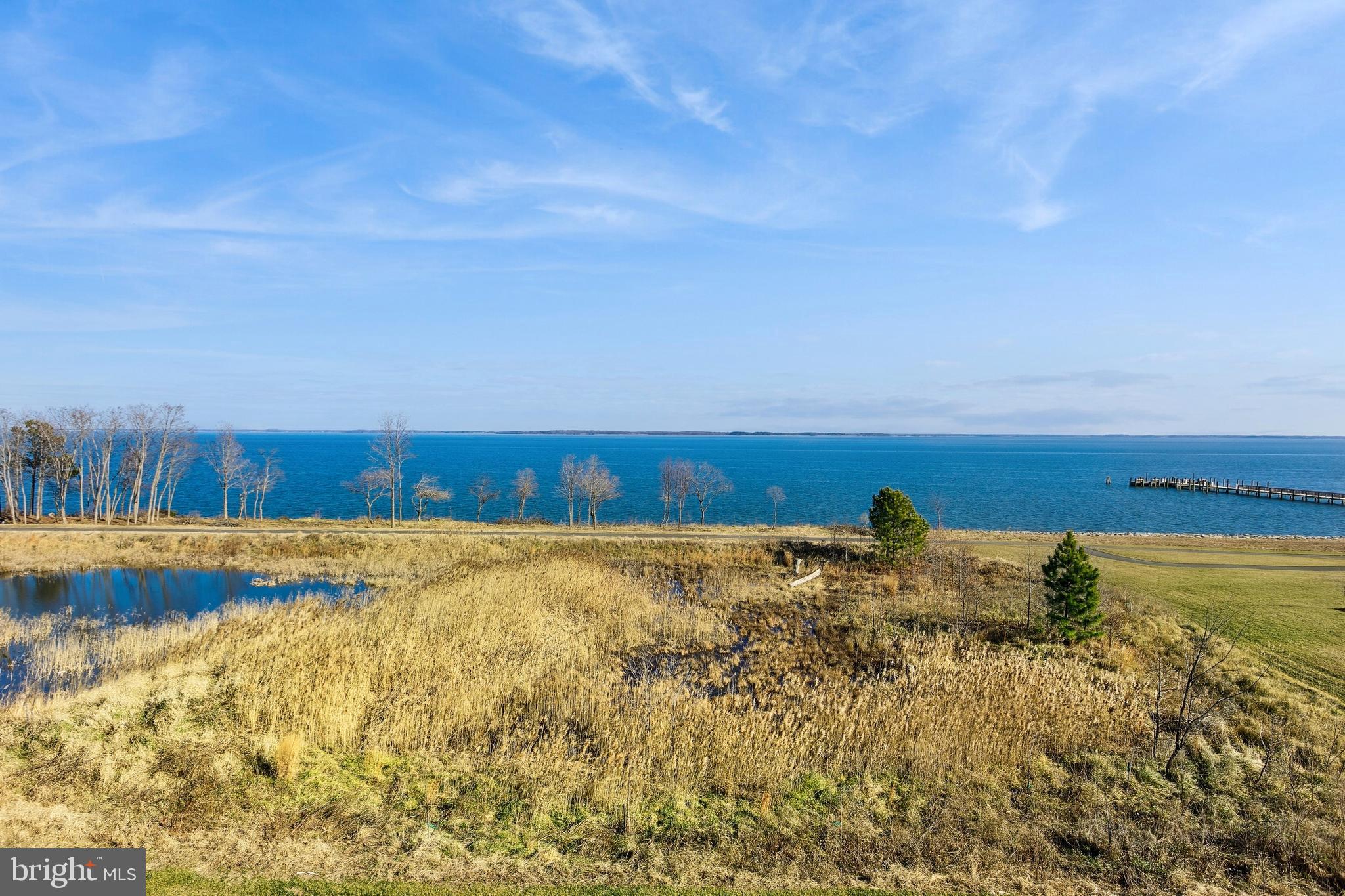 FOUR SEASONS AT KENT ISLAND - Residential