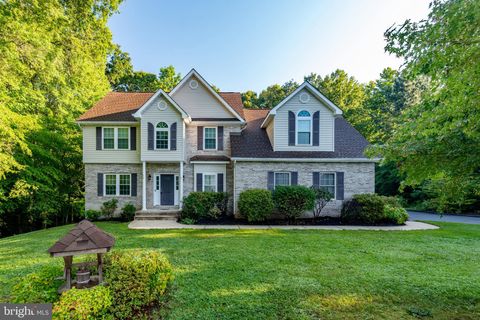 46486 HILTON RIDGE DRIVE LEXINGTON PARK MD 20653