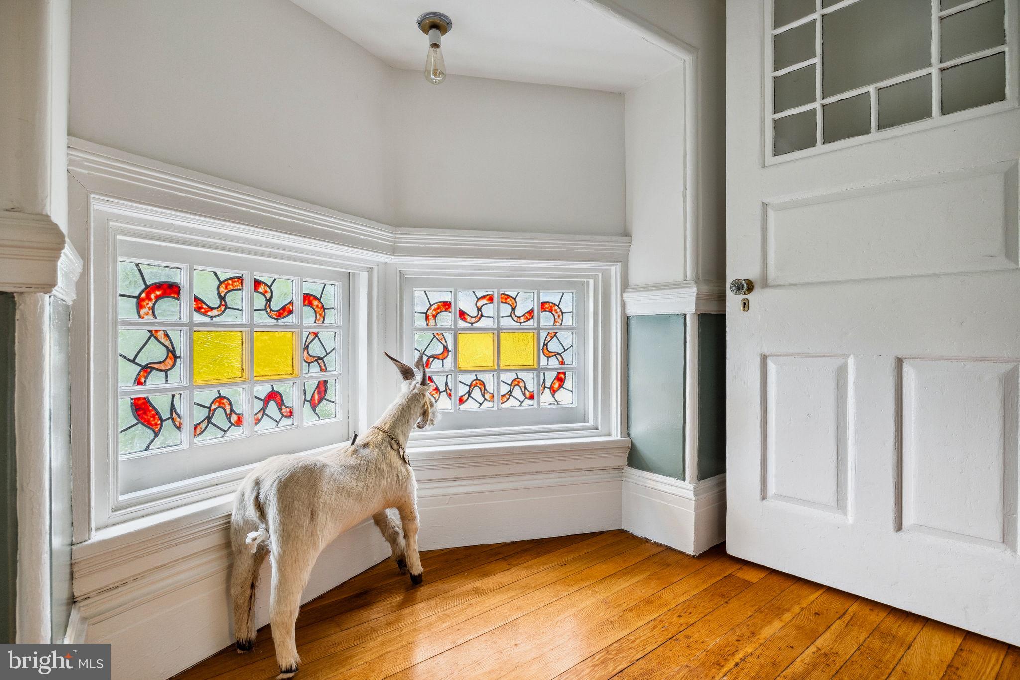 MT AIRY (WEST) - Residential
