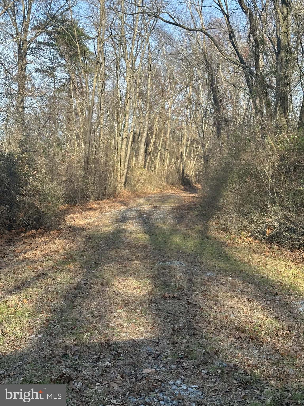 KENSINGTON COURTS - Residential