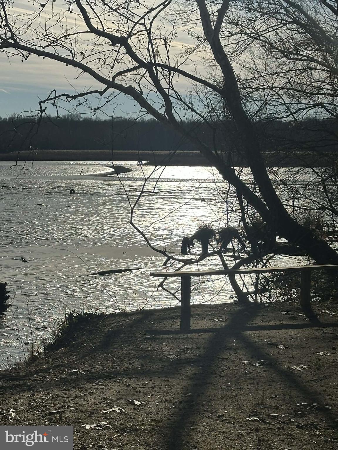 KENSINGTON COURTS - Residential