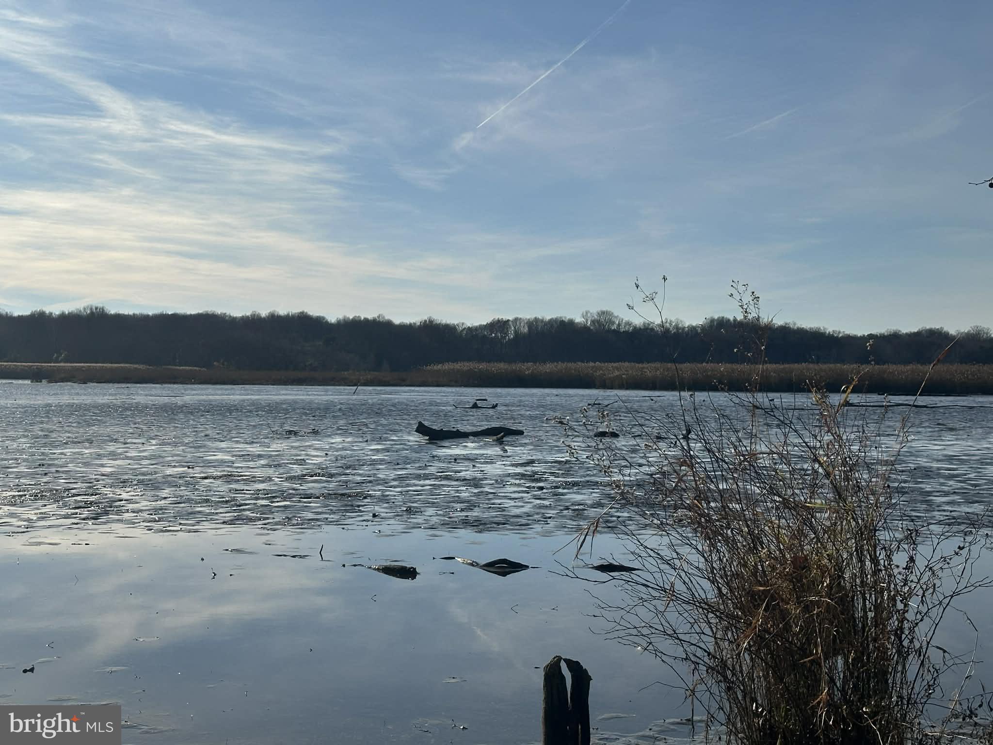 KENSINGTON COURTS - Residential