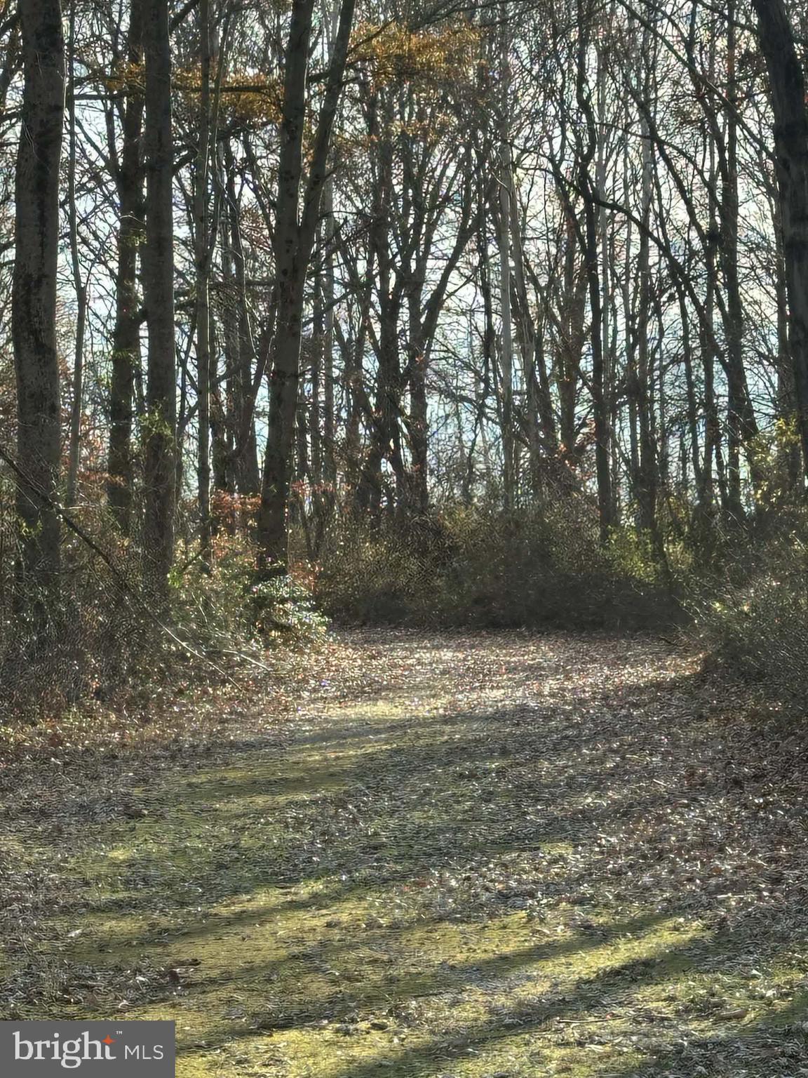 KENSINGTON COURTS - Residential