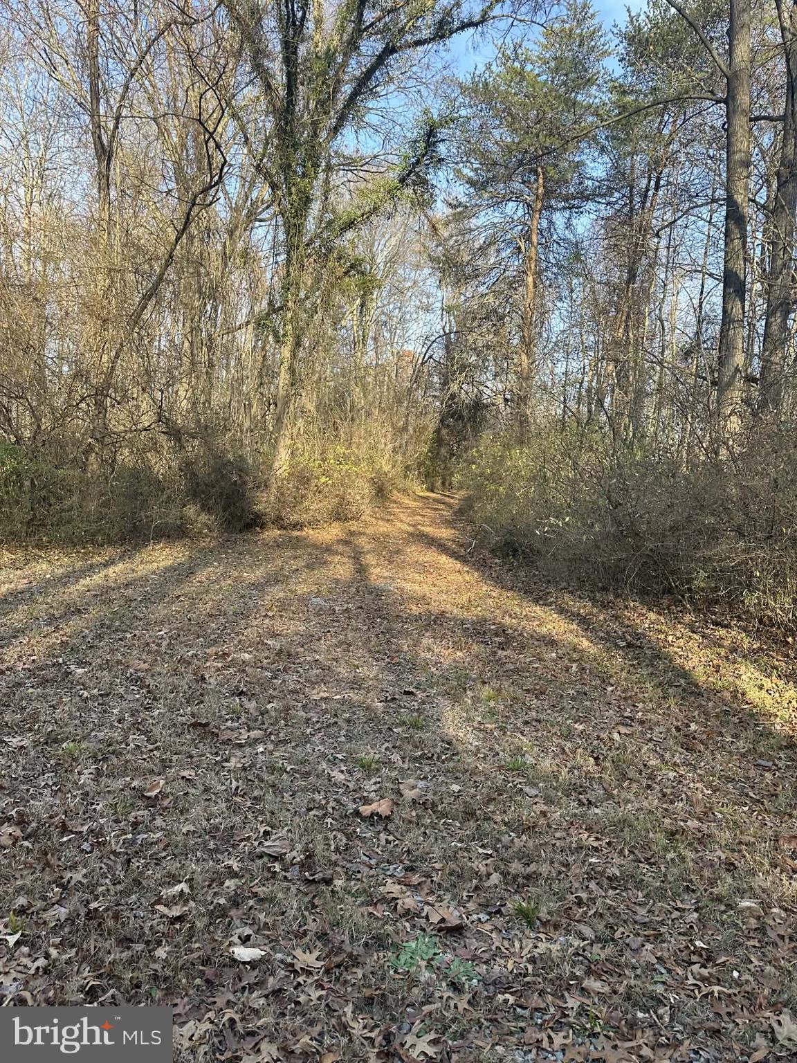 KENSINGTON COURTS - Residential