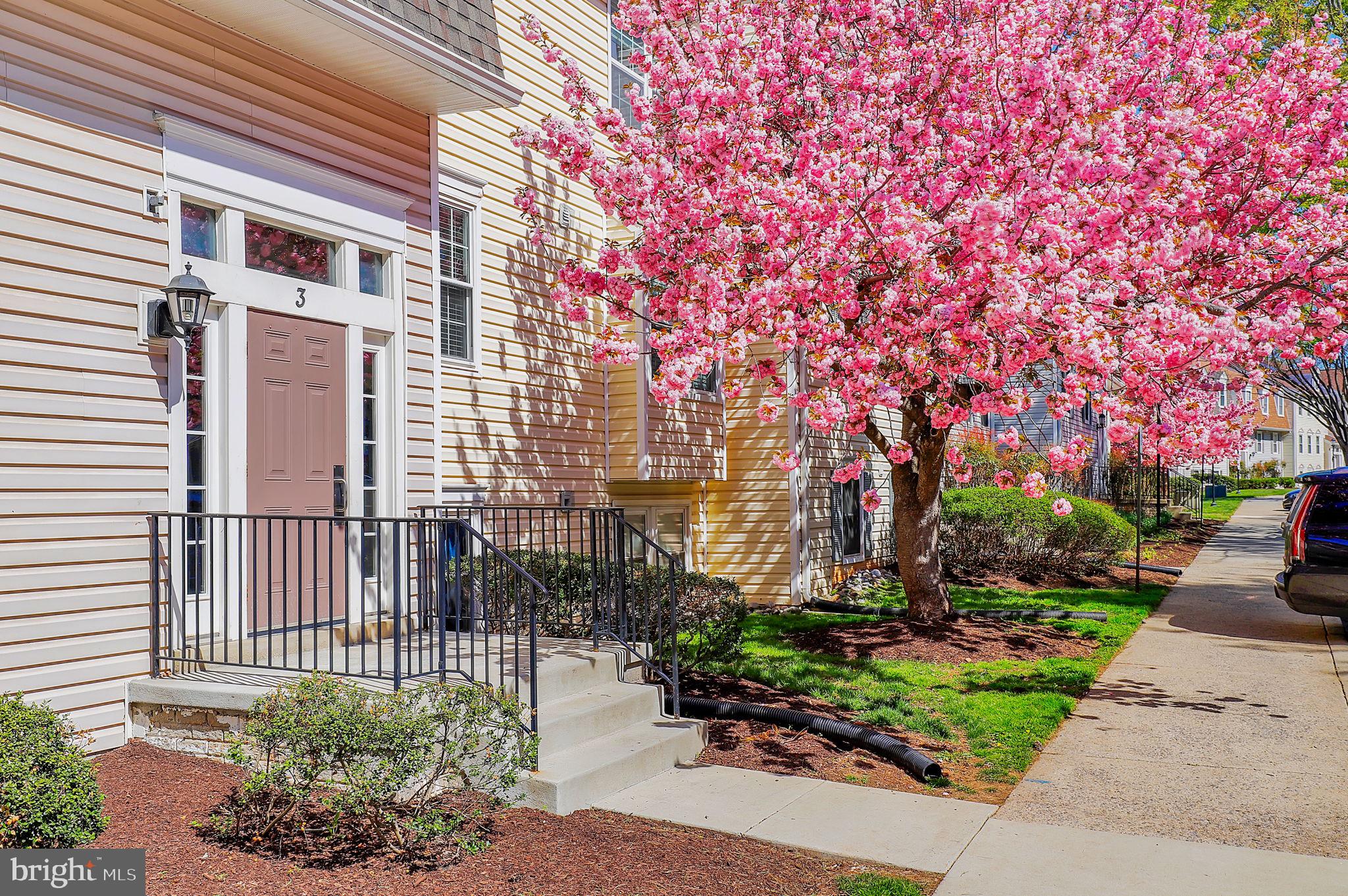 3 PICKERING COURT 202