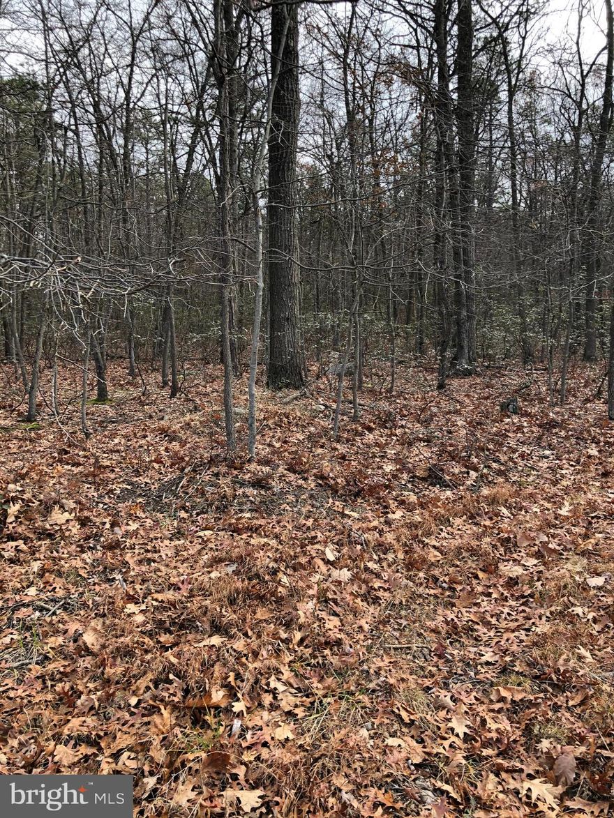 Perfect building lot in the country. Quiet setting and multiple level ares on the lot just right for that cabin getaway! Less than 1/2 mile from paved road on a well maintained subdivision road. There is an adjacent 5.32 acre lot (lot 7 tax ID number 0422004500000000) for the possibility of over 10 acres total.