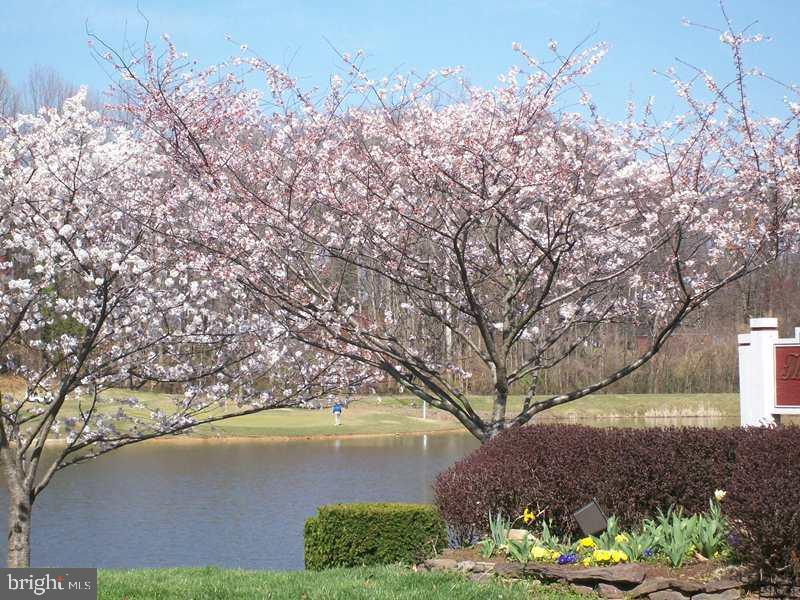 PENDERBROOK - Residential