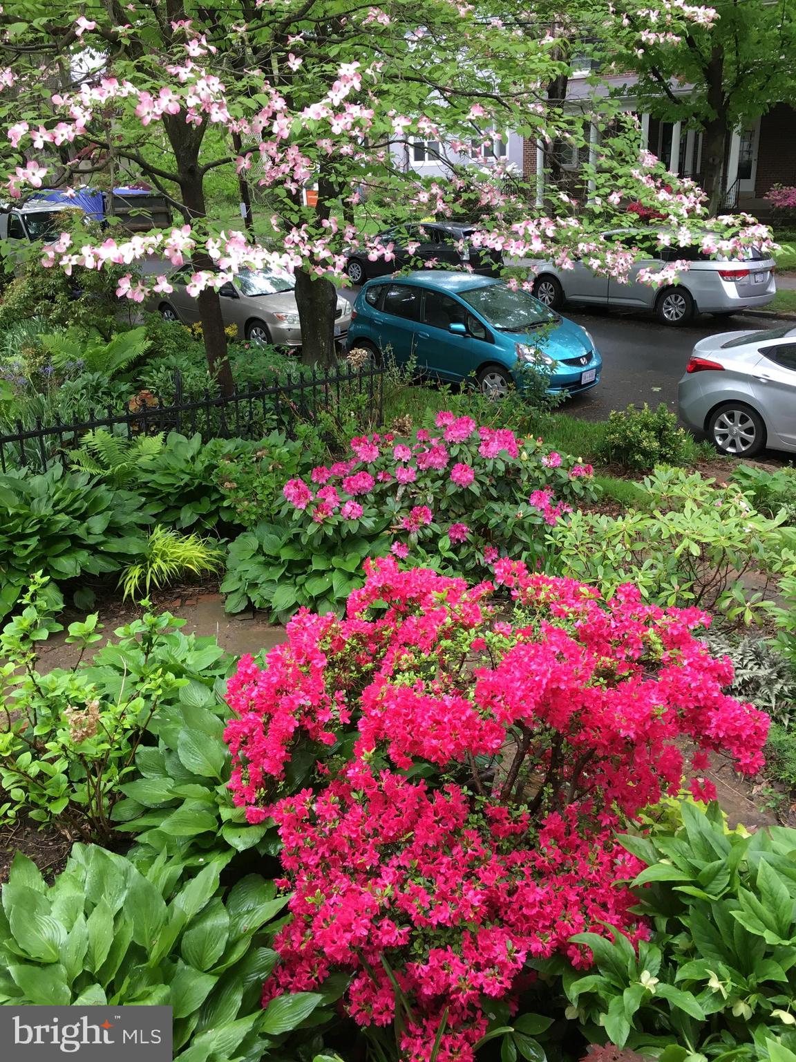 3622 VEAZEY STREET NW