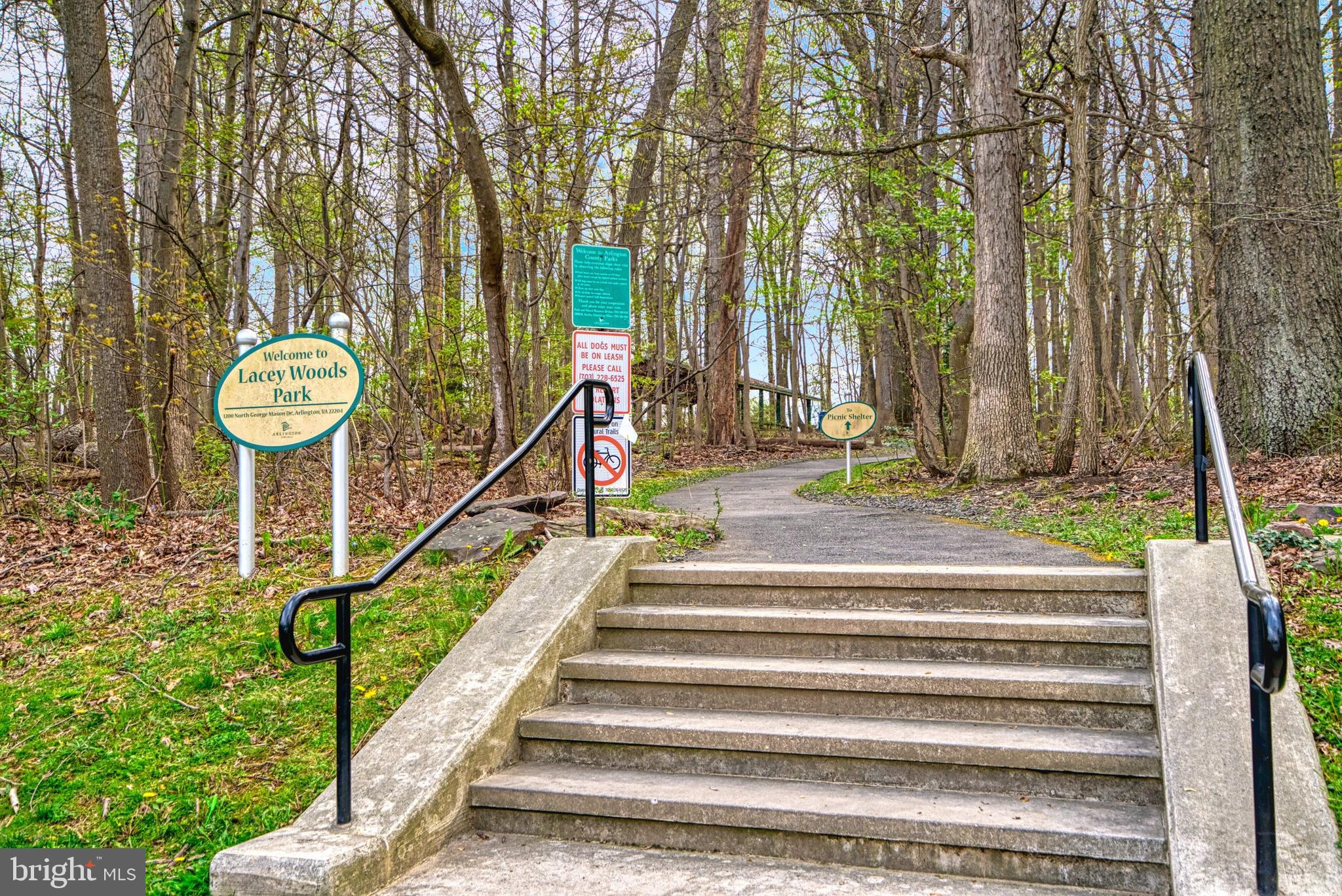 LACEY FOREST - Residential