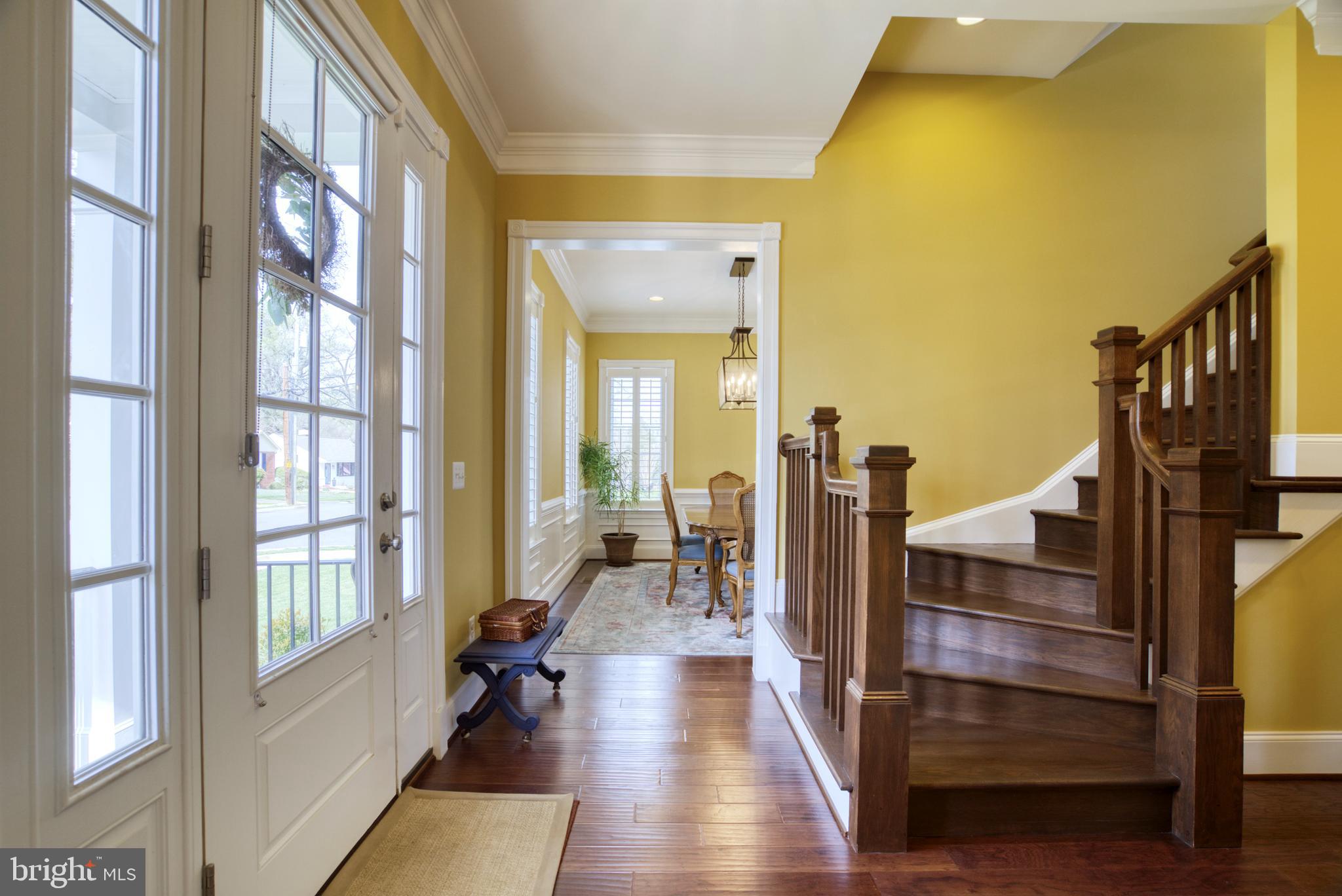 LACEY FOREST - Residential