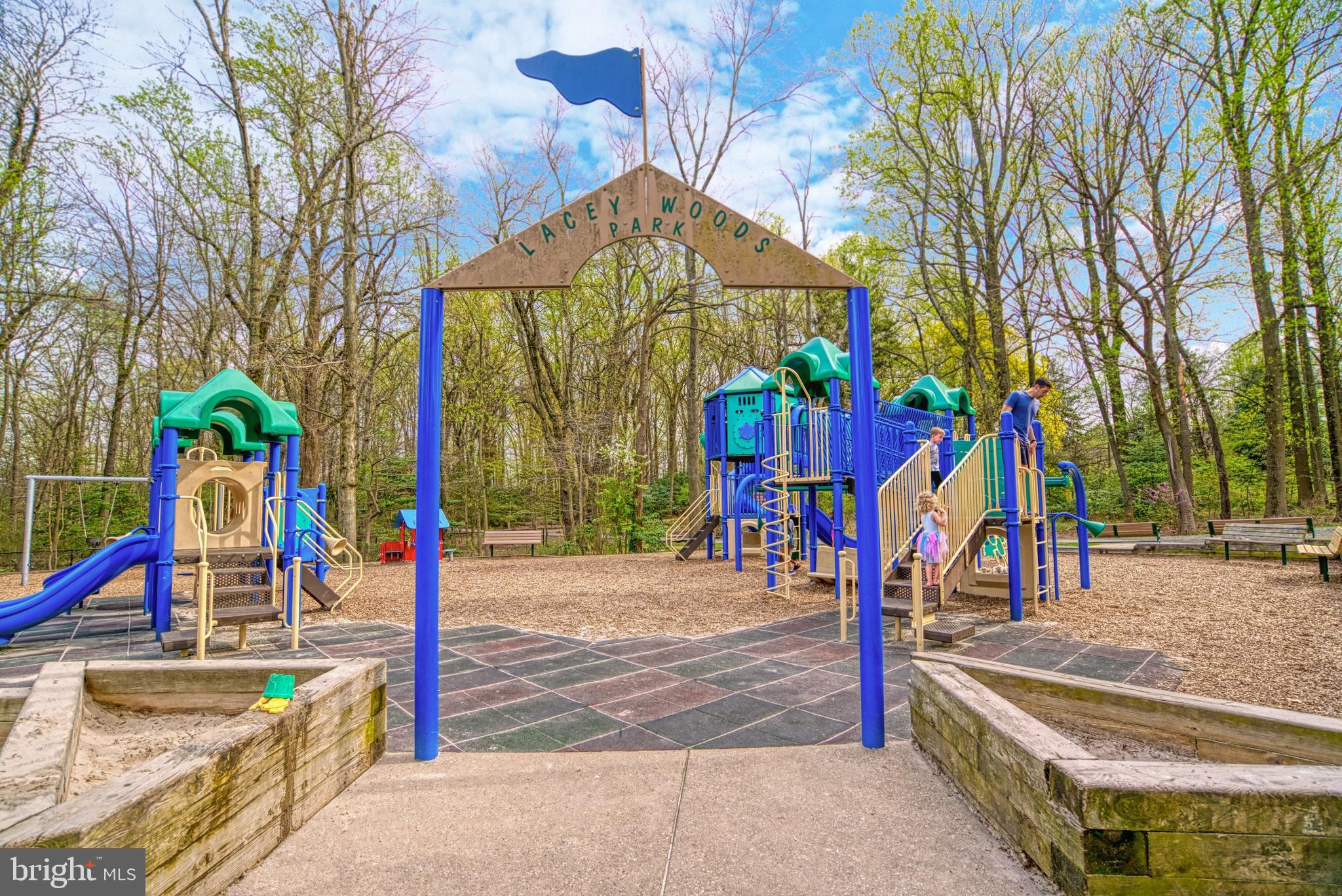 LACEY FOREST - Residential