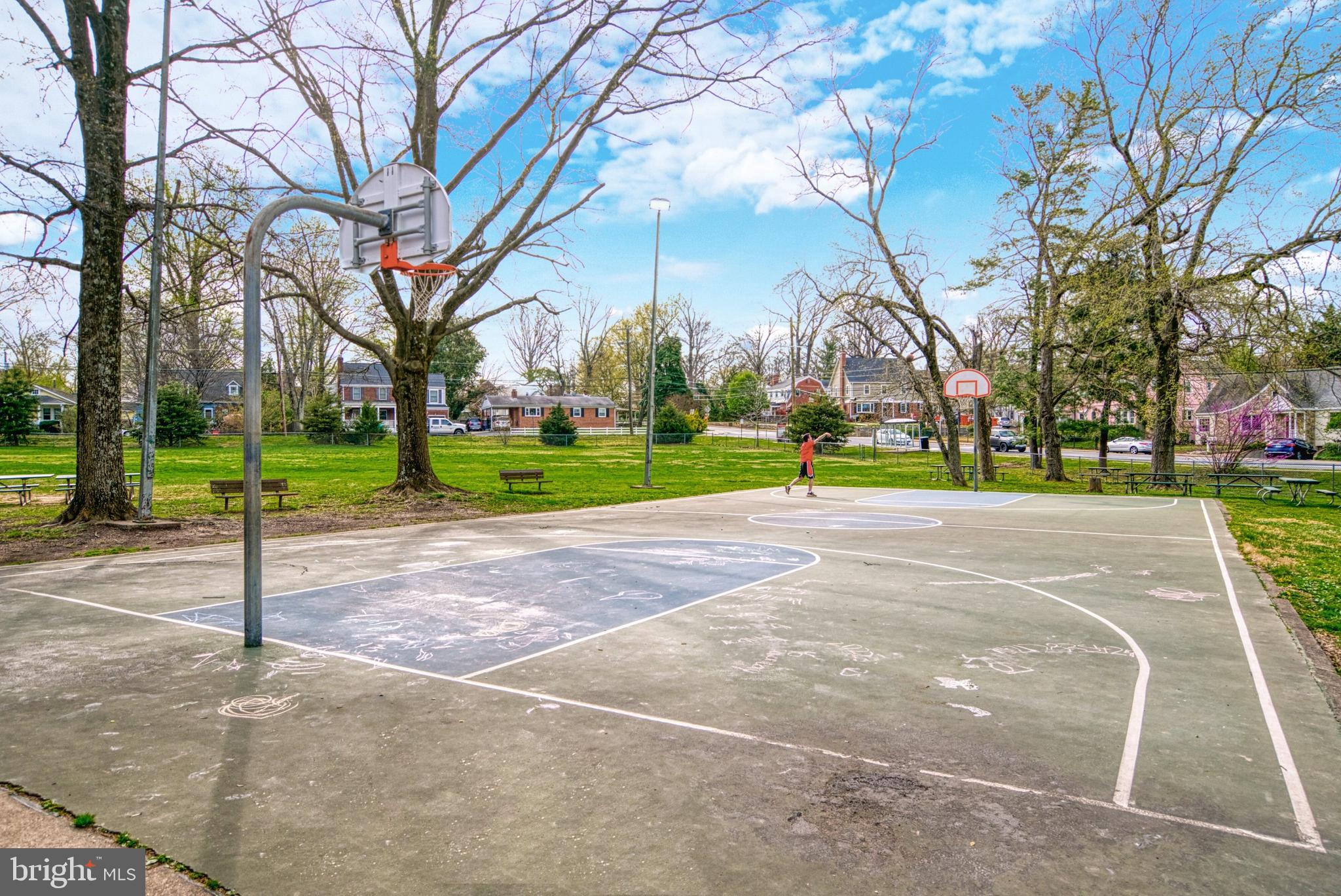 LACEY FOREST - Residential