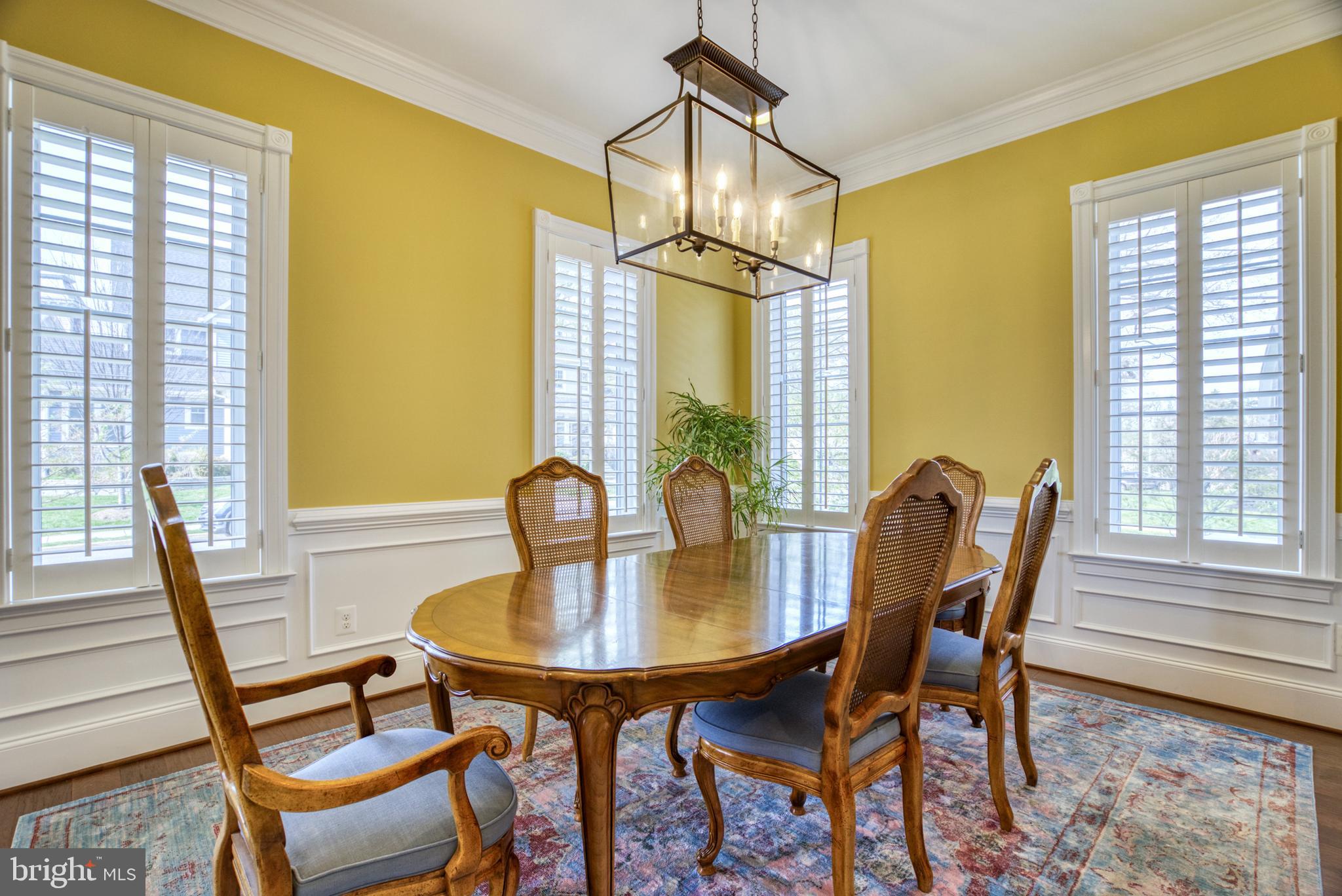 LACEY FOREST - Residential