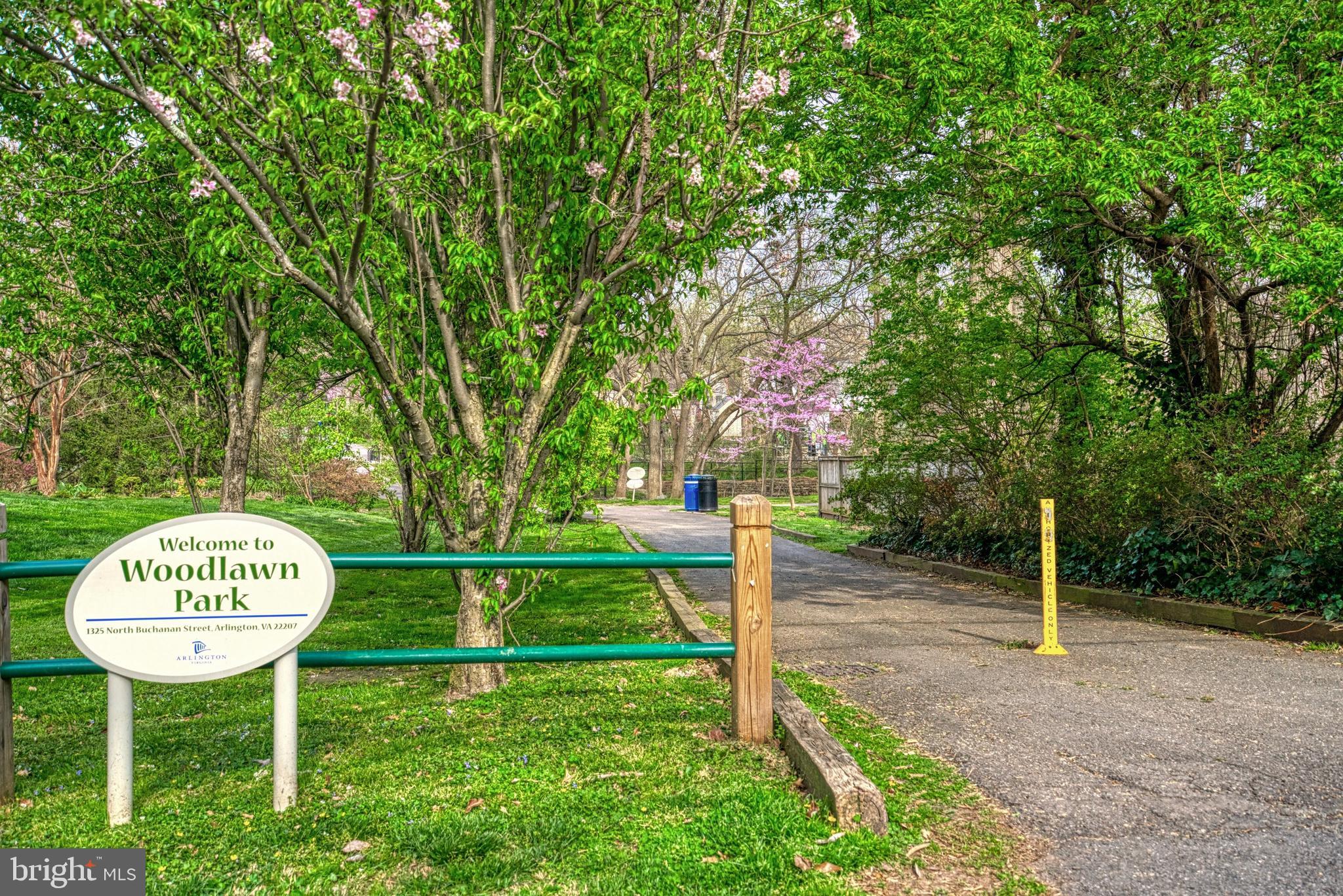 LACEY FOREST - Residential