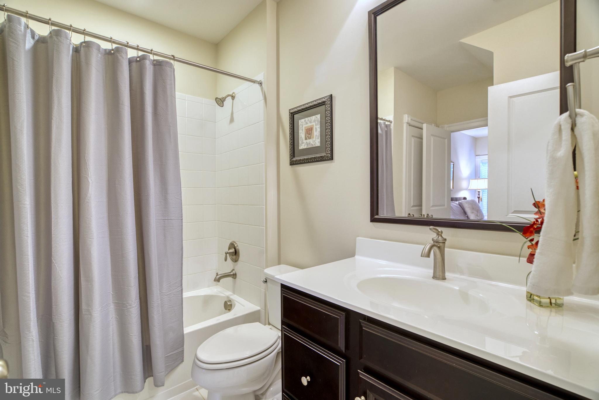 LACEY FOREST - Residential