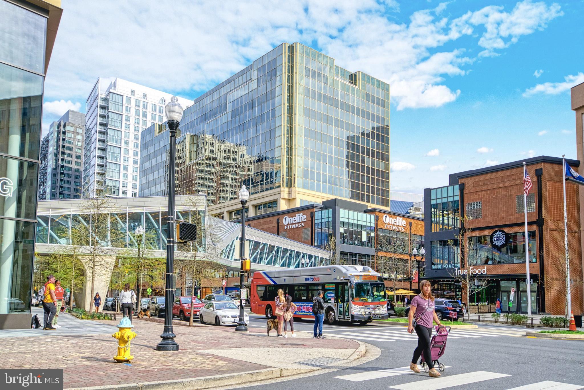 LACEY FOREST - Residential