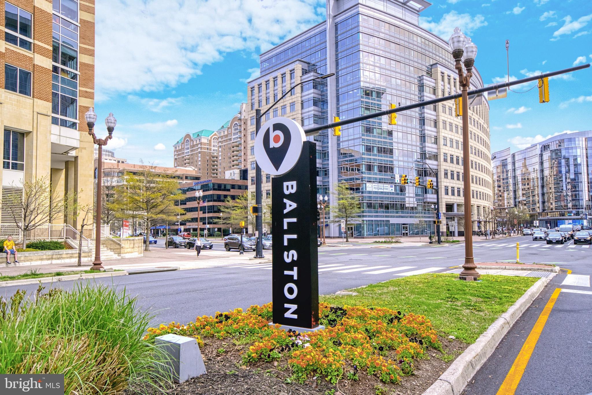 LACEY FOREST - Residential