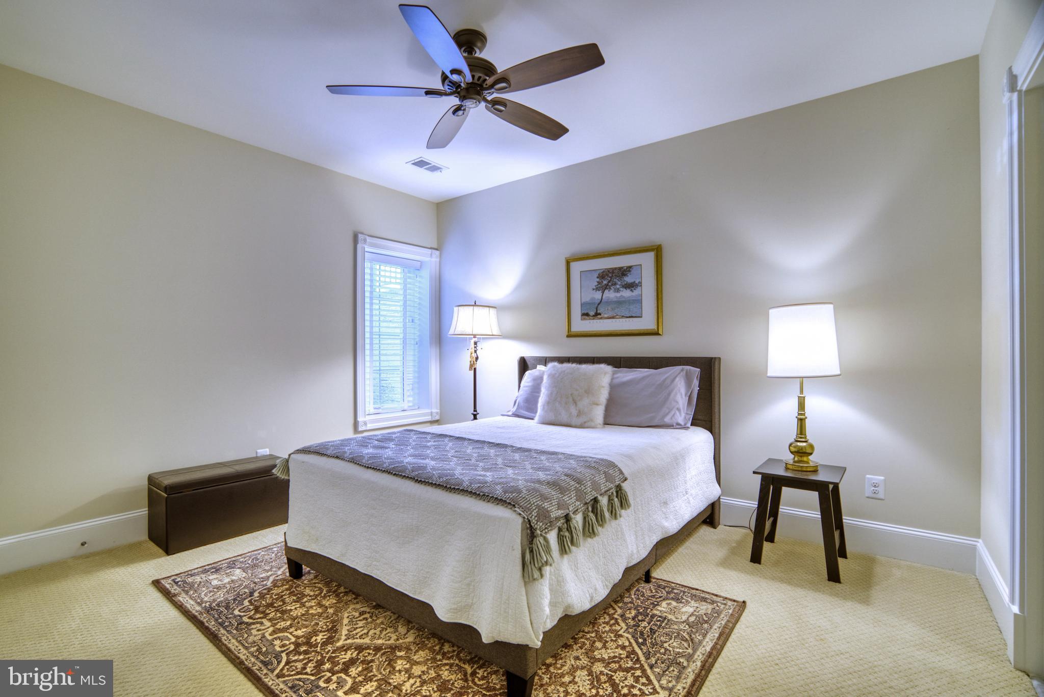 LACEY FOREST - Residential