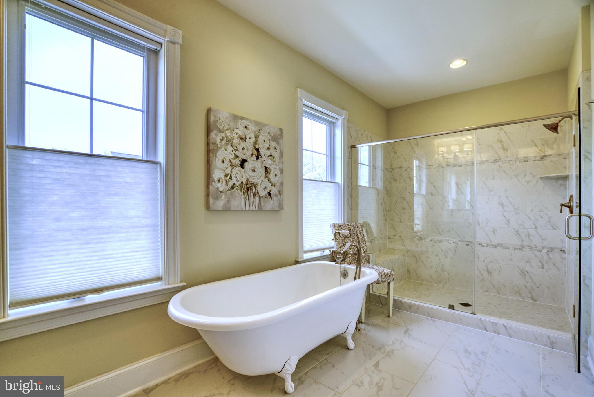 LACEY FOREST - Residential