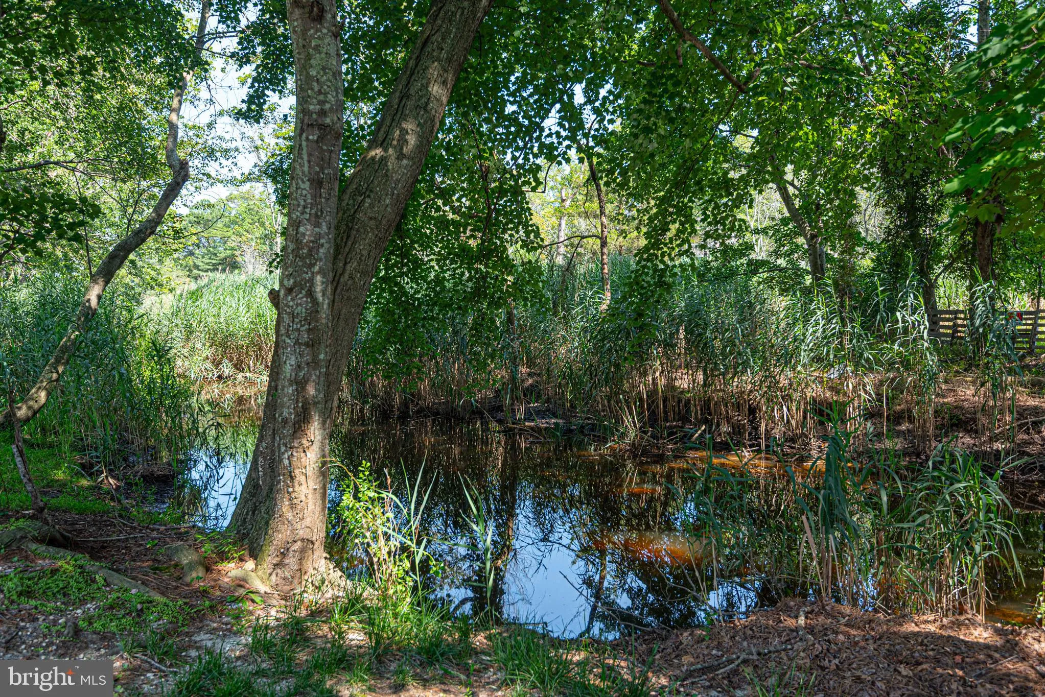 Ocean View, Delaware 19970, United States, 3 Bedrooms Bedrooms, ,2 BathroomsBathrooms,Residential,Active,180271