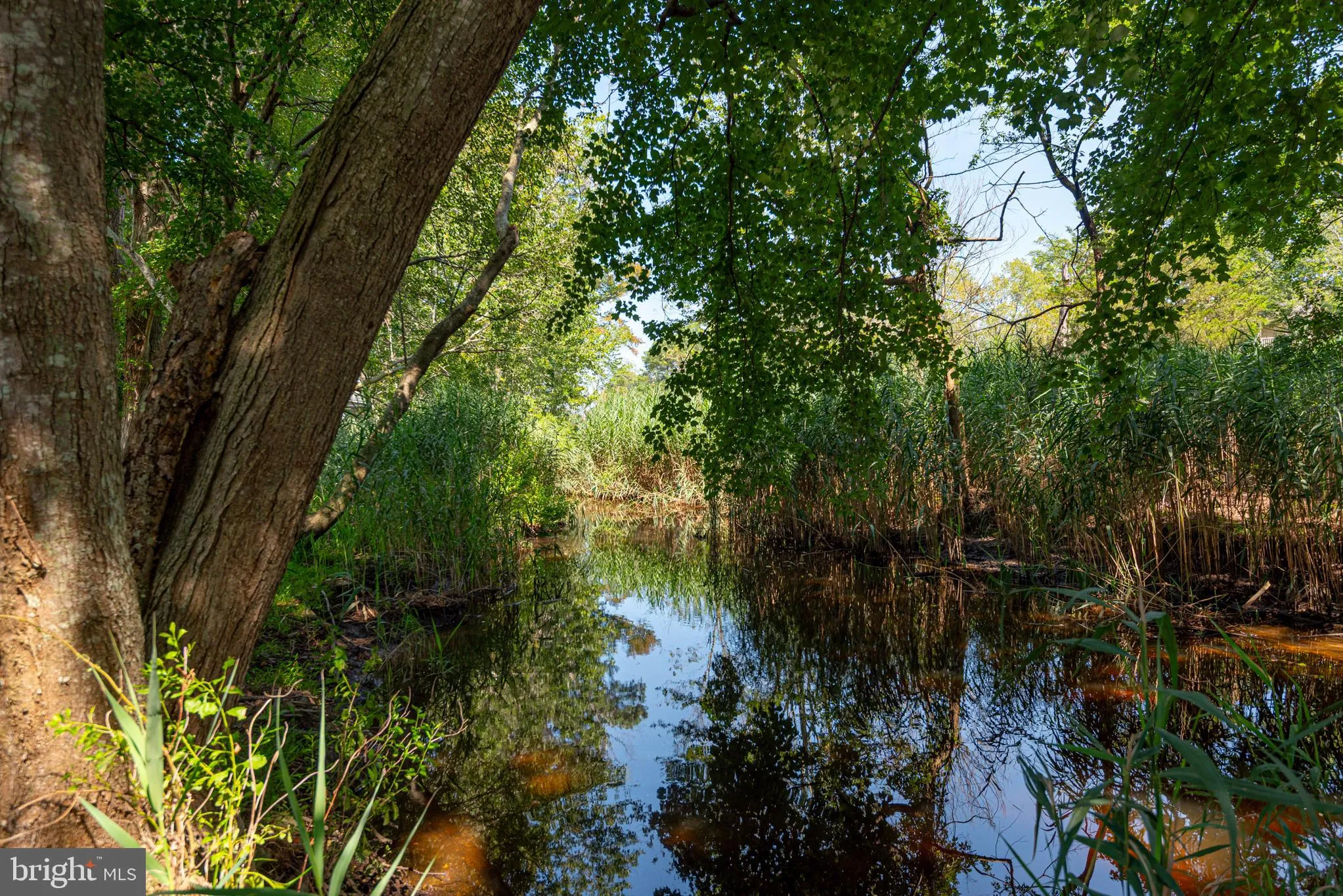 Ocean View, Delaware 19970, United States, 3 Bedrooms Bedrooms, ,2 BathroomsBathrooms,Residential,Active,180271