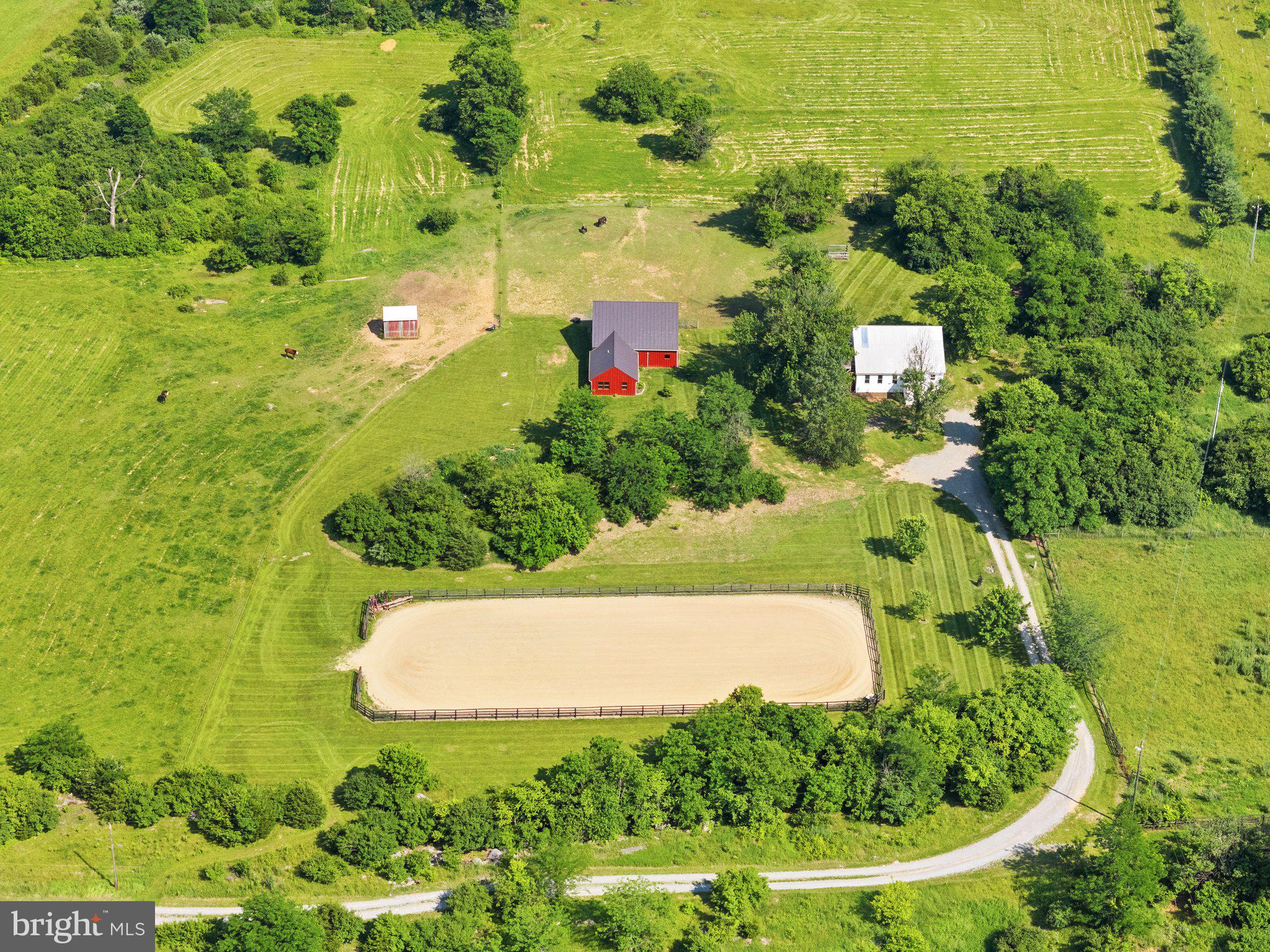 589 BELLEVUE LANE