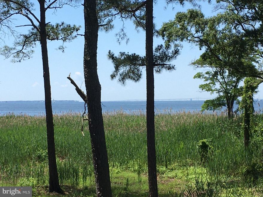 Chesapeake Bay views at 8 ft elevation on this building lot. Great in-town location near restaurants, marinas and the beach. The site has existing public water and sewer service and electric on site.