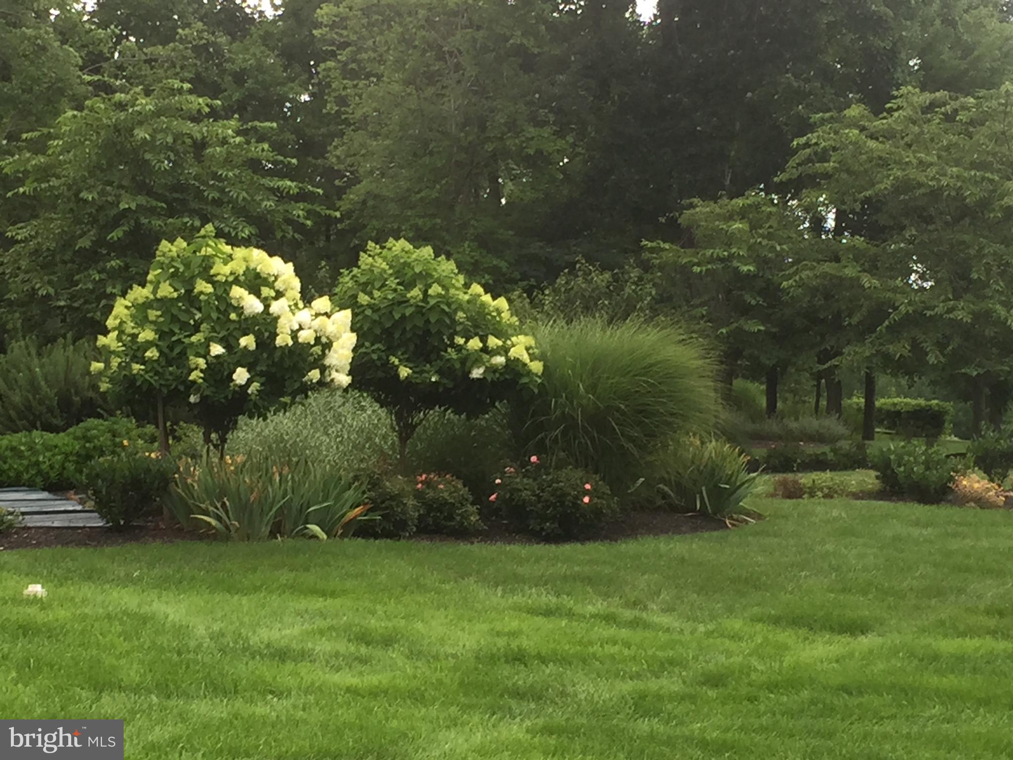 BEACON HILL - Residential