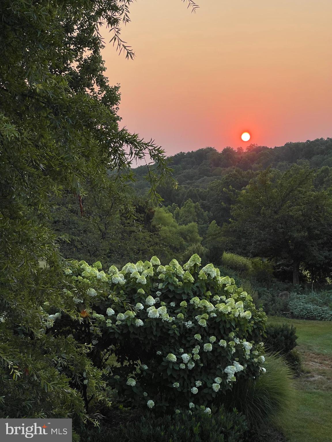 BEACON HILL - Residential
