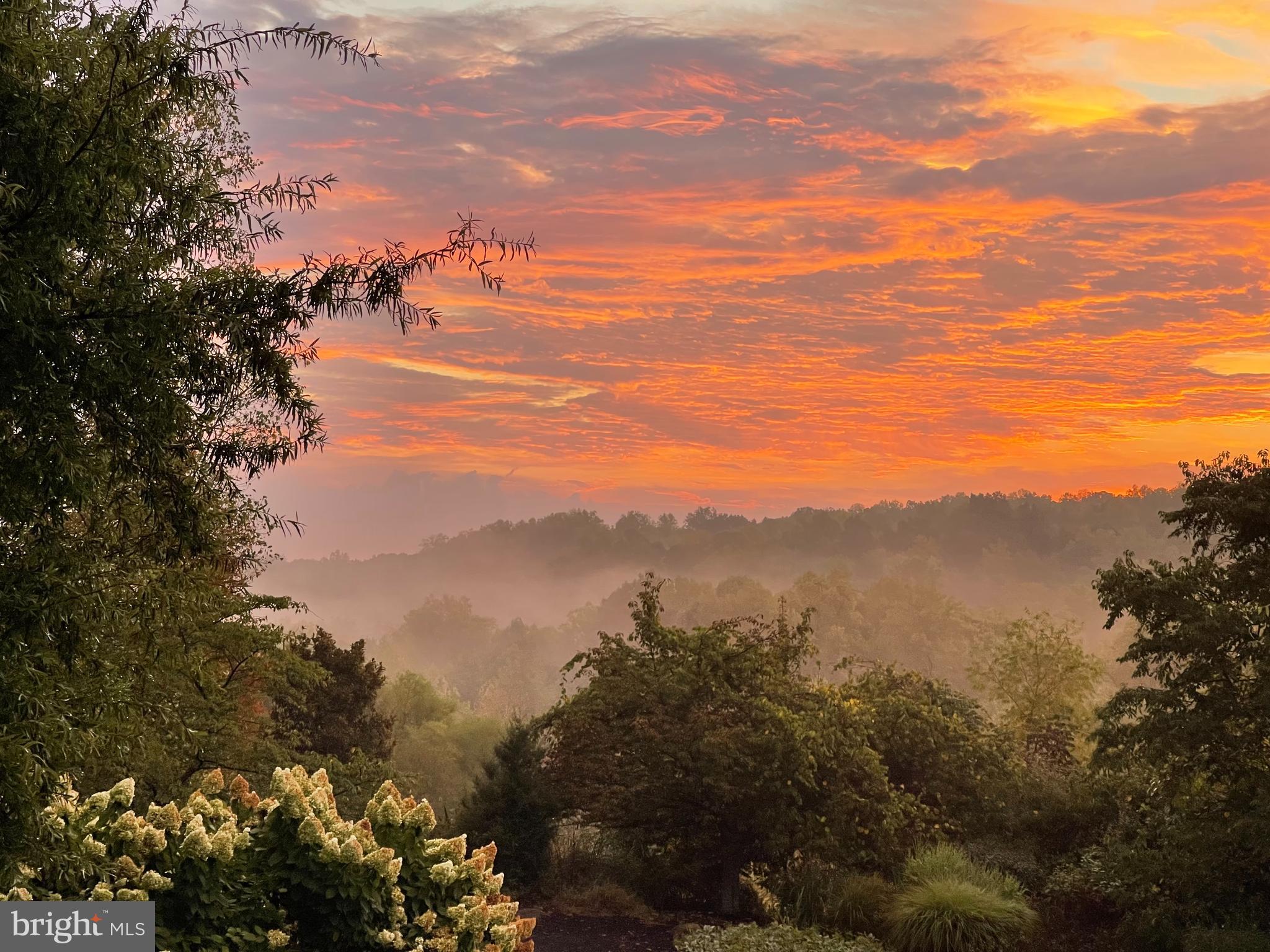 BEACON HILL - Residential