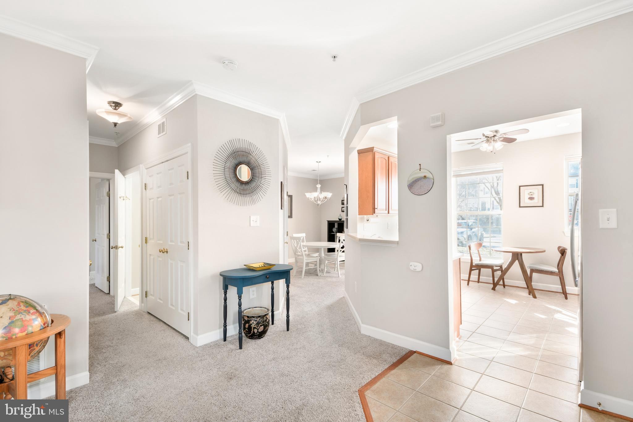 BALLENGER CROSSING - Residential