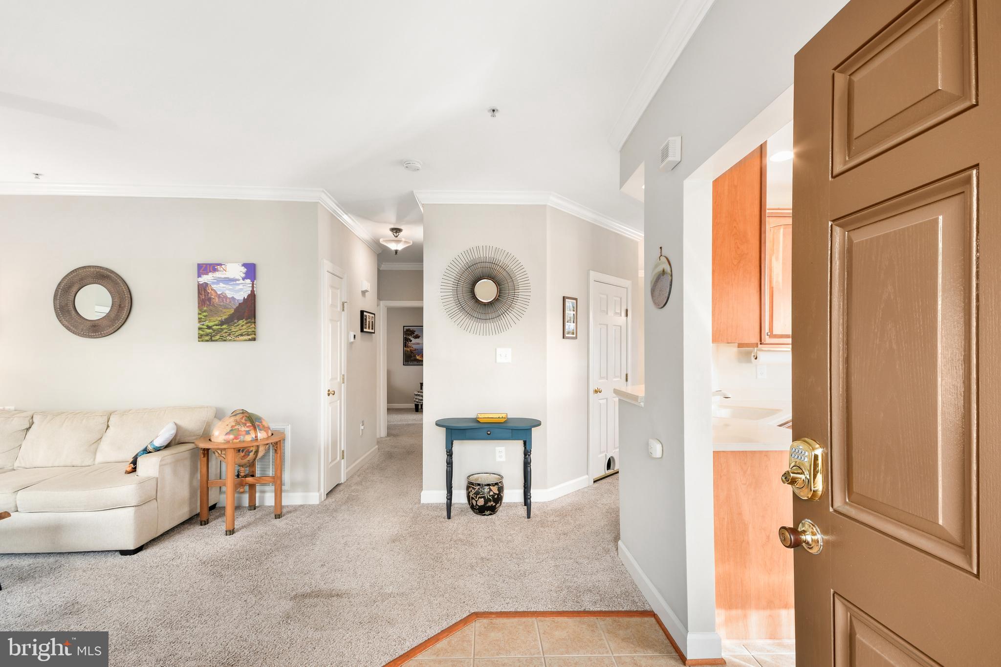 BALLENGER CROSSING - Residential