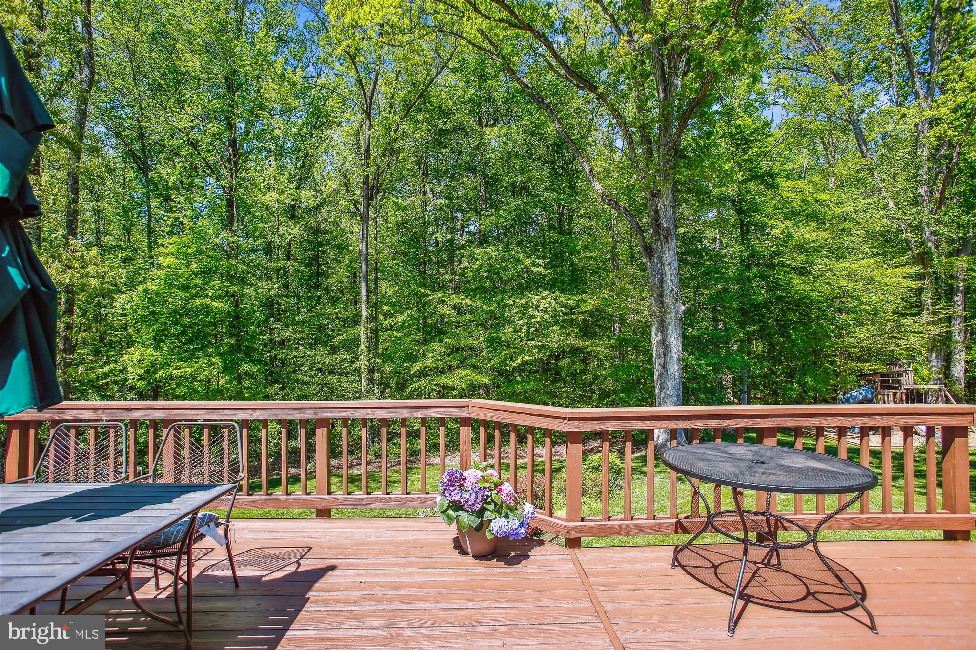 ORANGE HUNT ESTATES - Residential