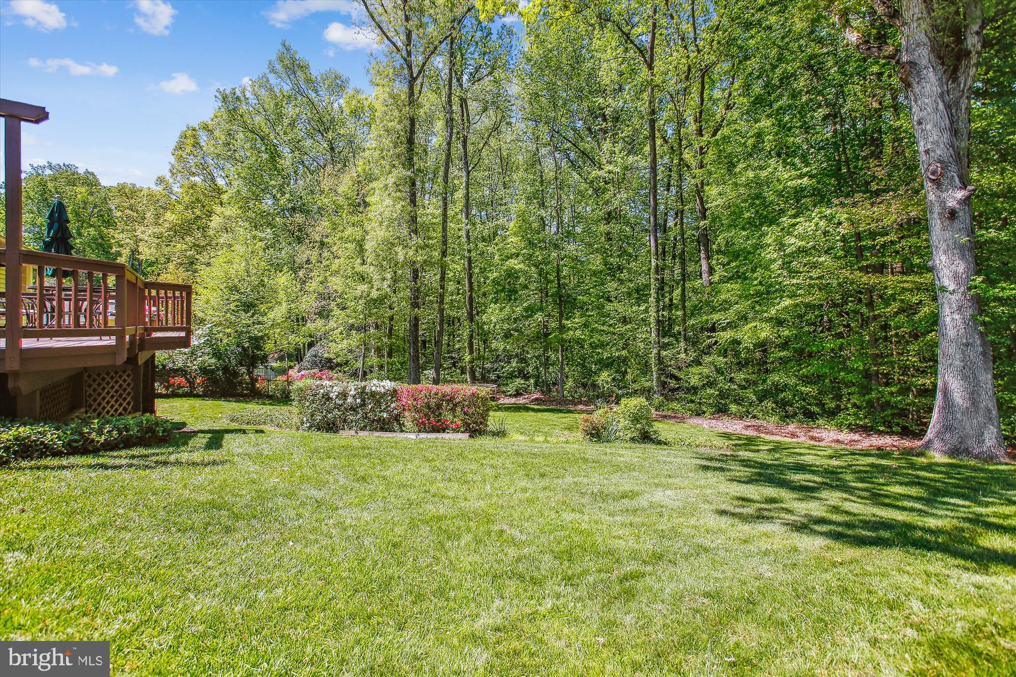 ORANGE HUNT ESTATES - Residential