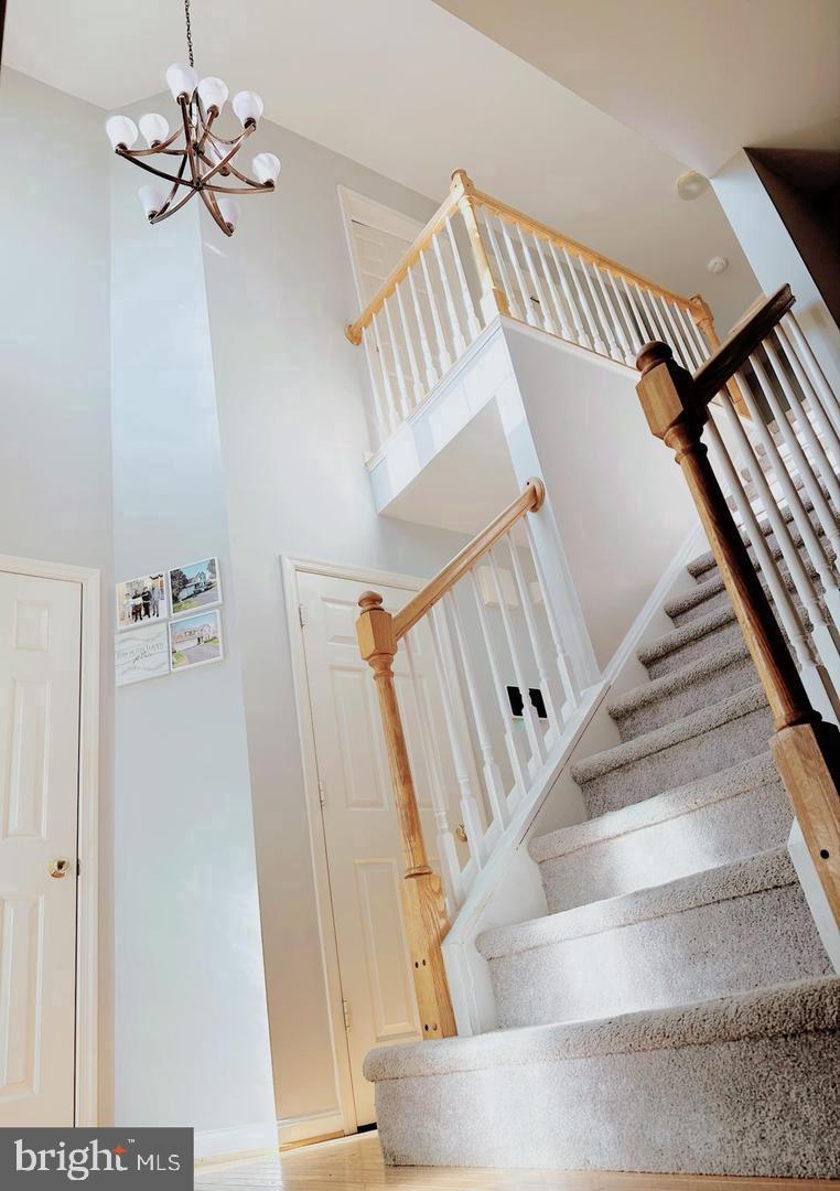 4 SAINT IVES COURT